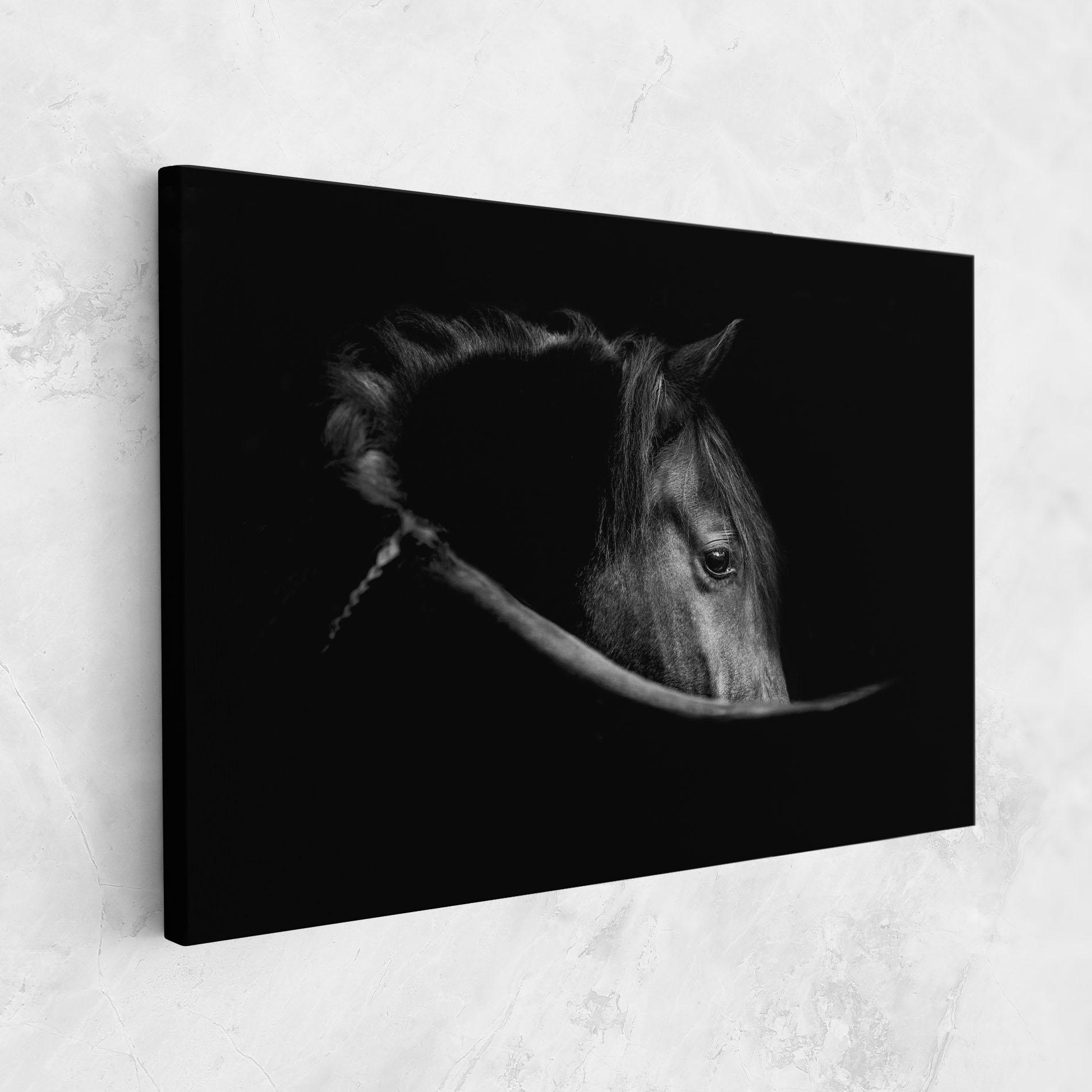 Leinwandbild Black Horse Looking mockup 1
