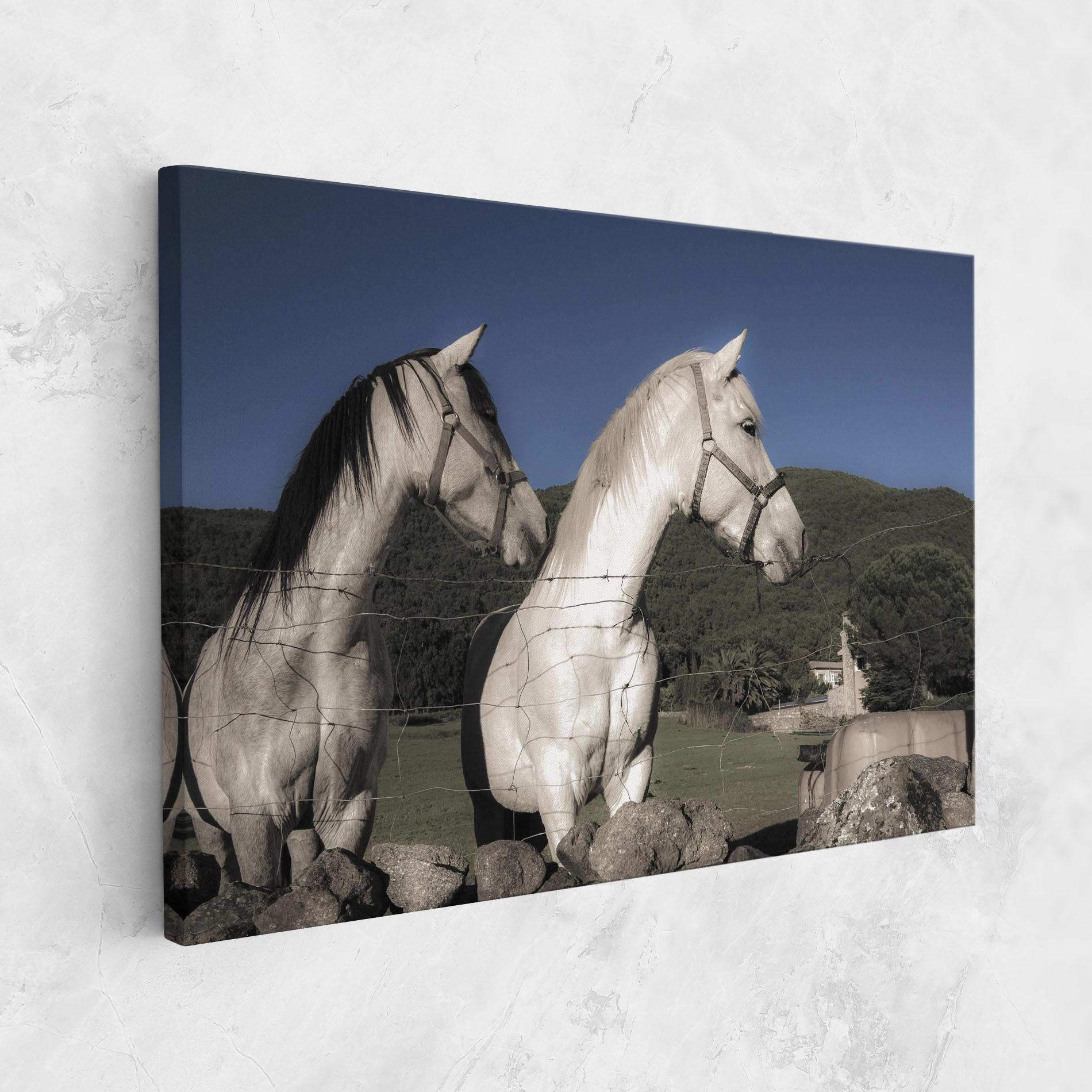 Leinwandbild White Grey Horse mockup 1