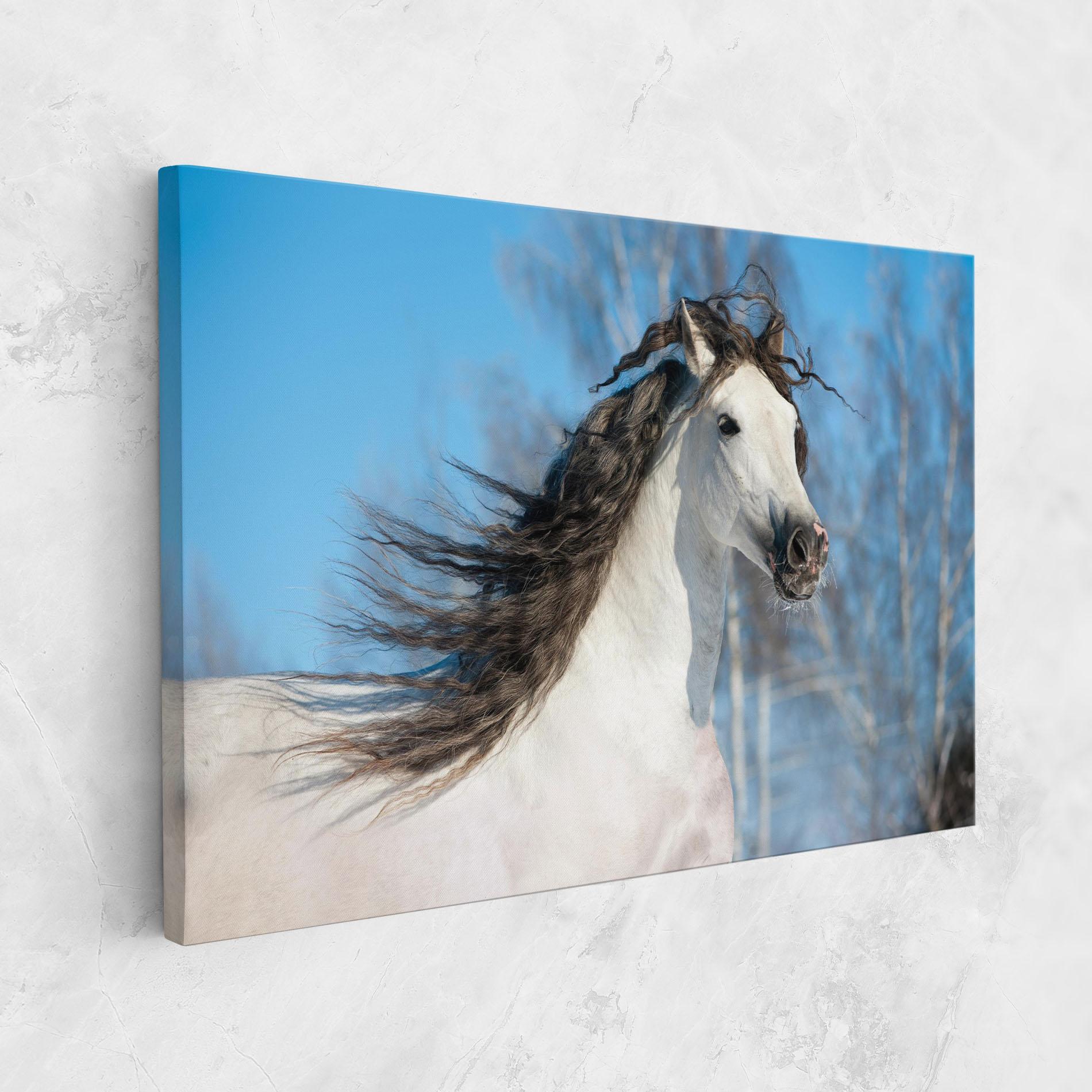 Leinwandbild Wild Black Hair Horse mockup 1