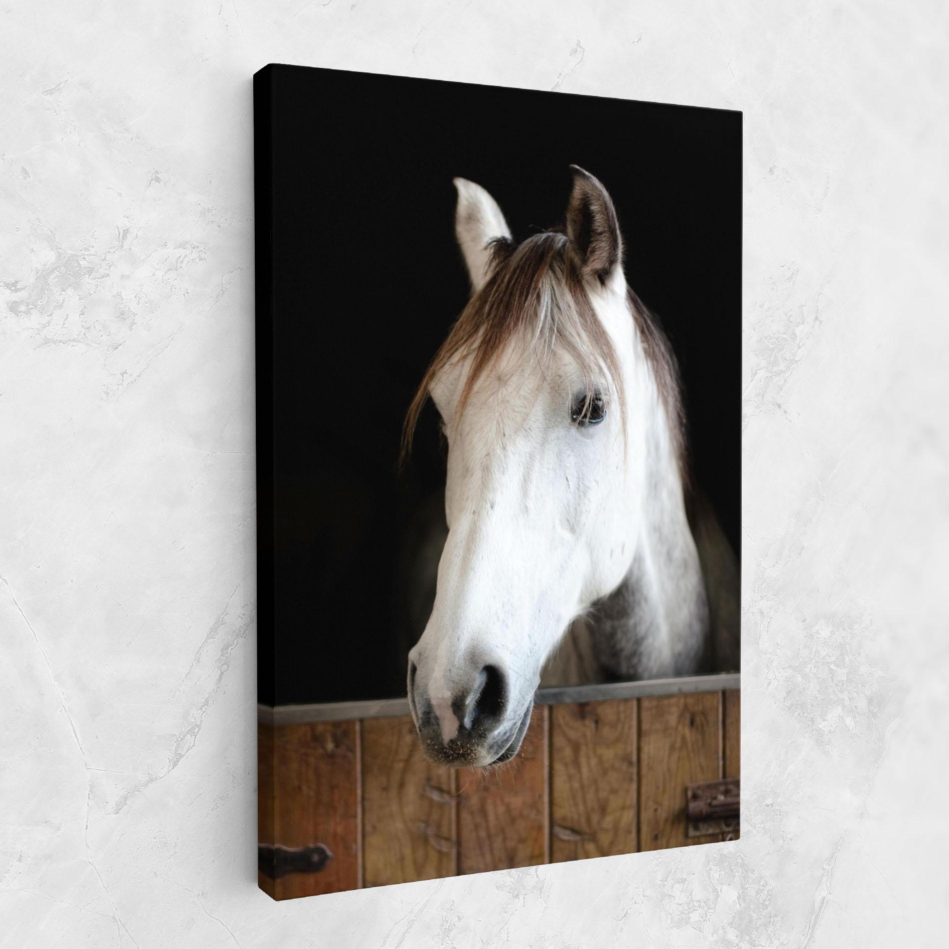 Leinwandbild Grey Horse Head mockup 1