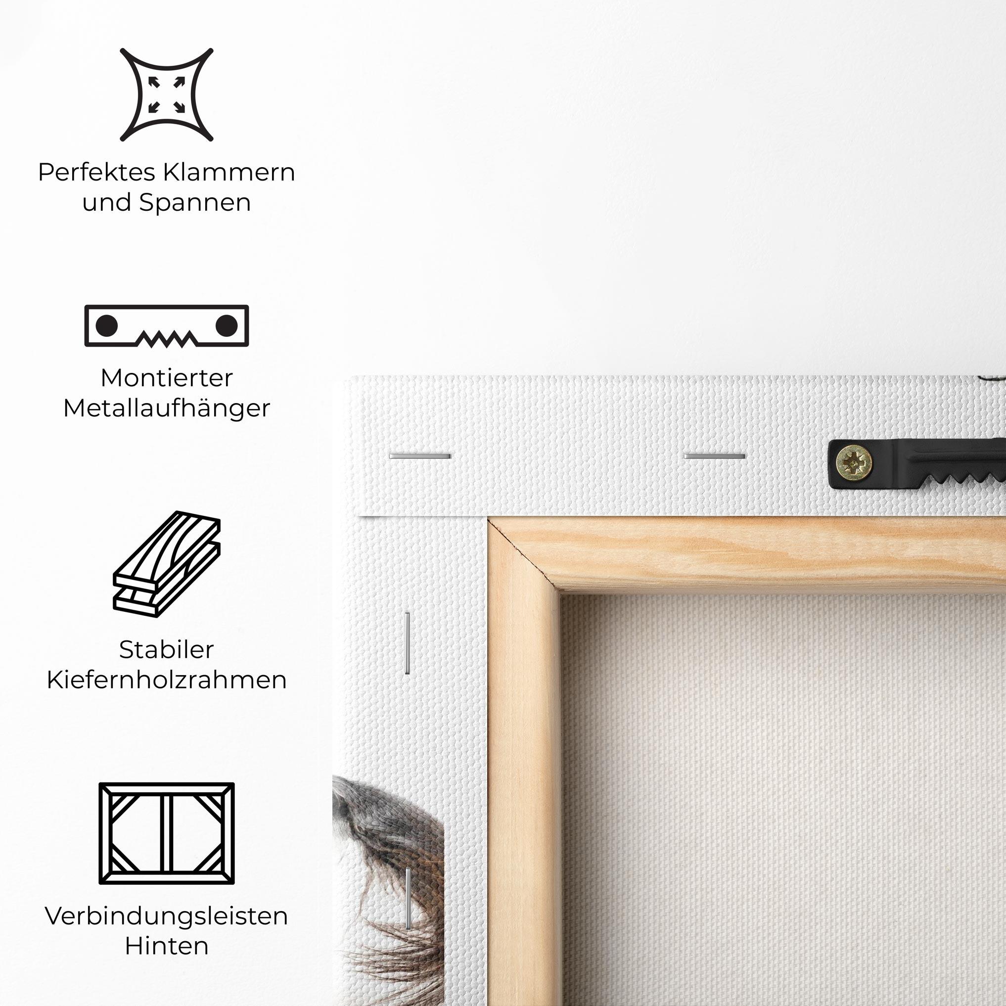 Leinwandbild Appaloosa Horse Running mockup 5