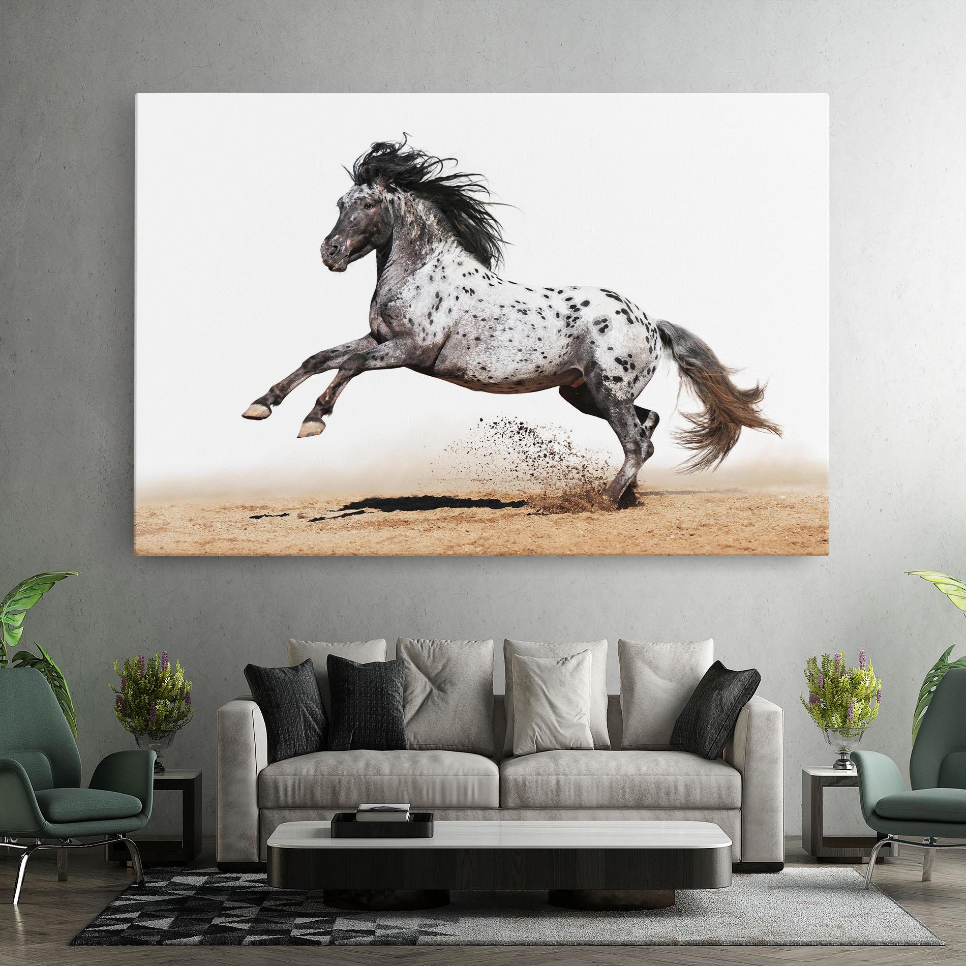 Leinwandbild Appaloosa Horse Running mockup 7