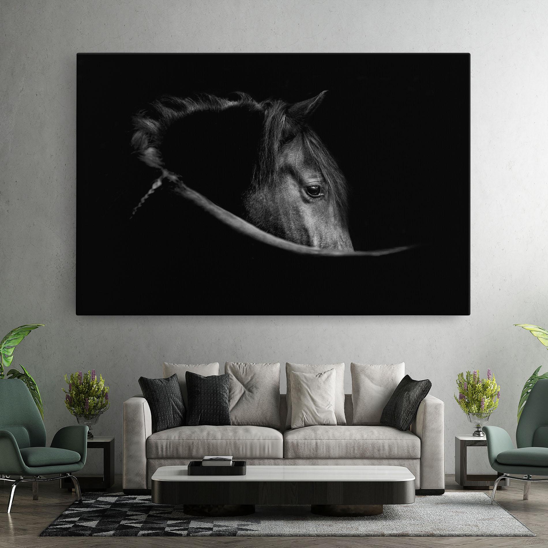 Leinwandbild Black Horse Looking mockup 7