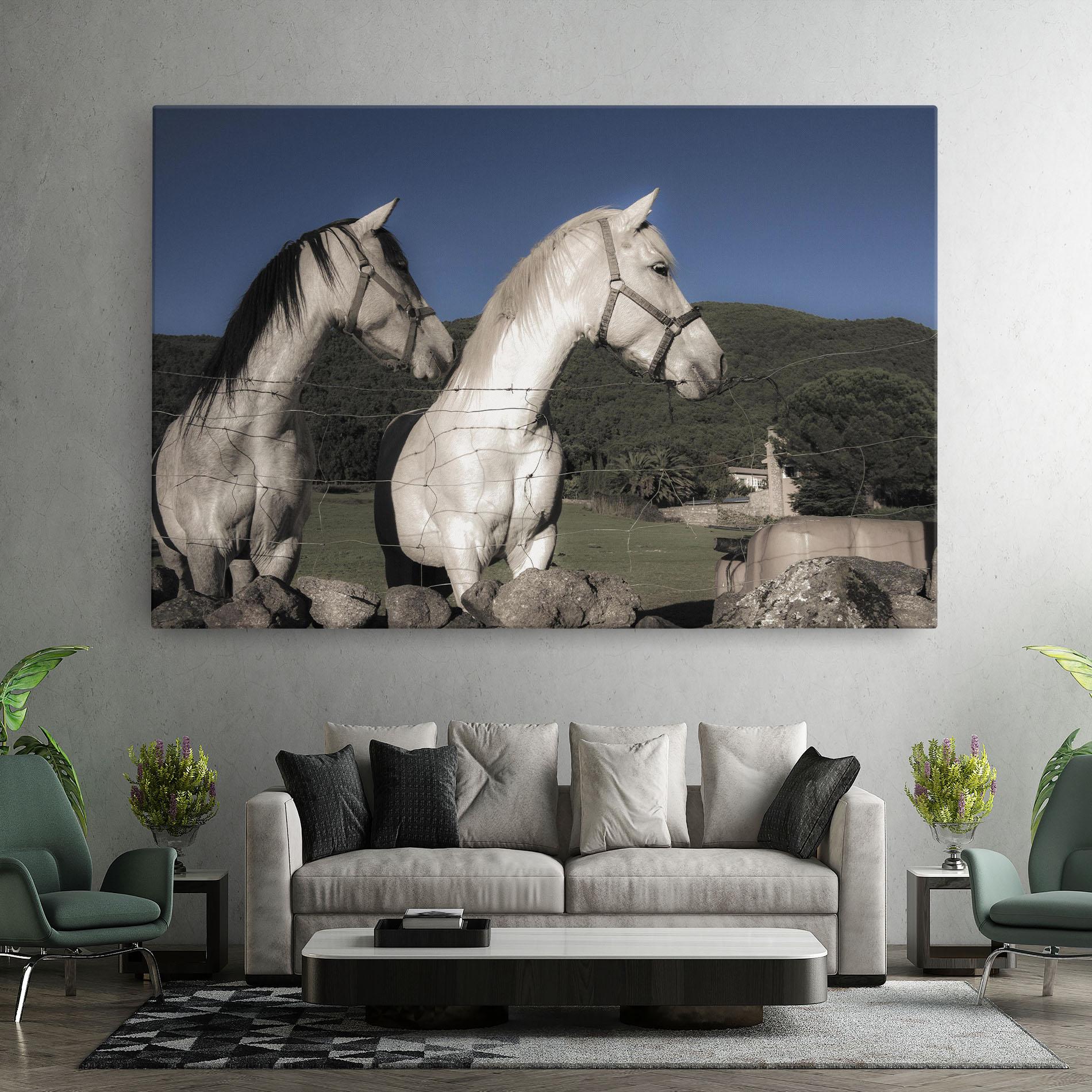 Leinwandbild White Grey Horse mockup 7