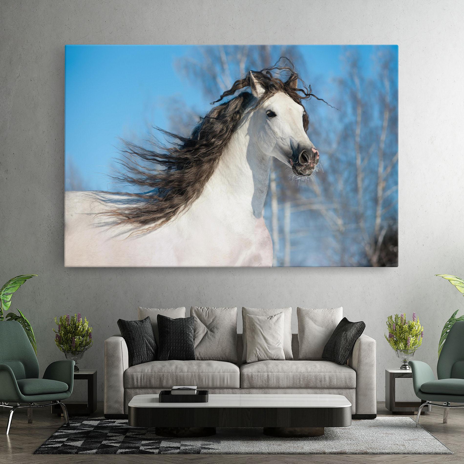 Leinwandbild Wild Black Hair Horse mockup 7
