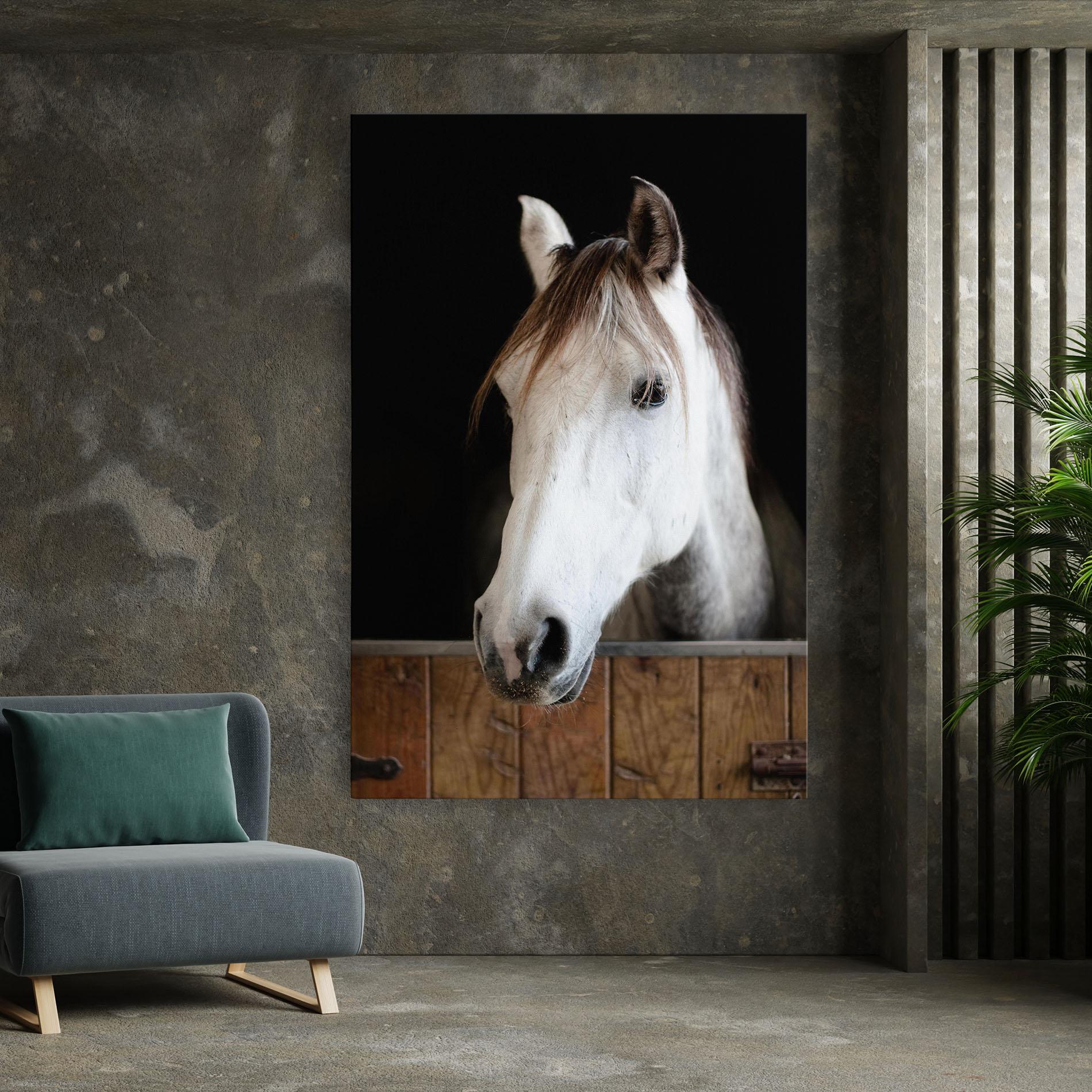 Leinwandbild Grey Horse Head mockup 7
