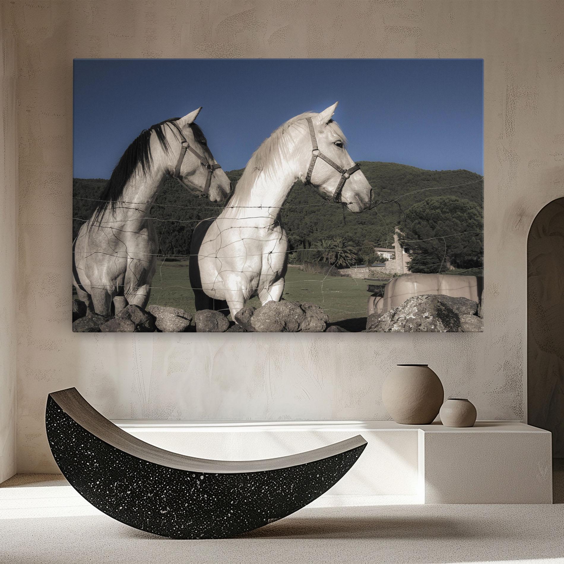 Leinwandbild White Grey Horse mockup 8