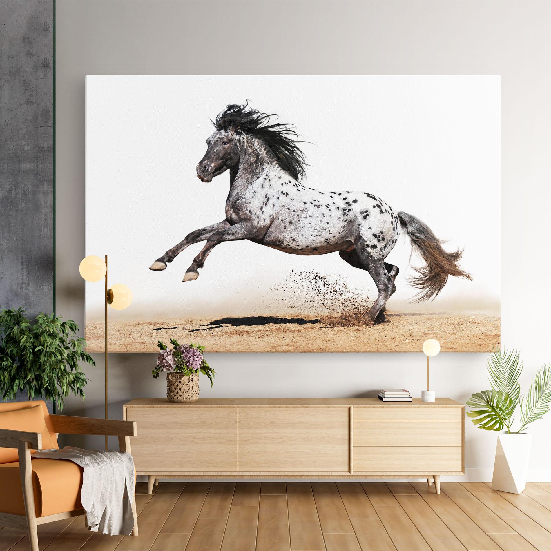 Leinwandbild Appaloosa Horse Running mockup 9