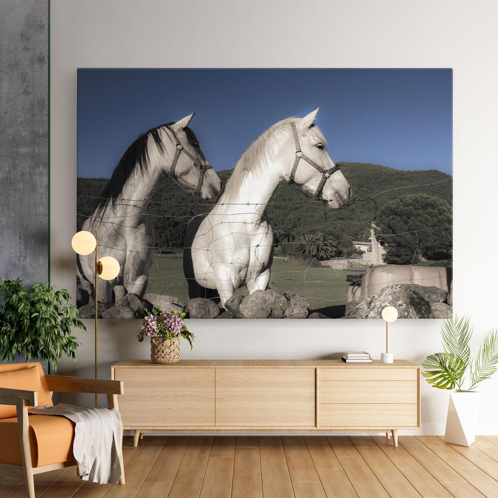 Leinwandbild White Grey Horse mockup 9