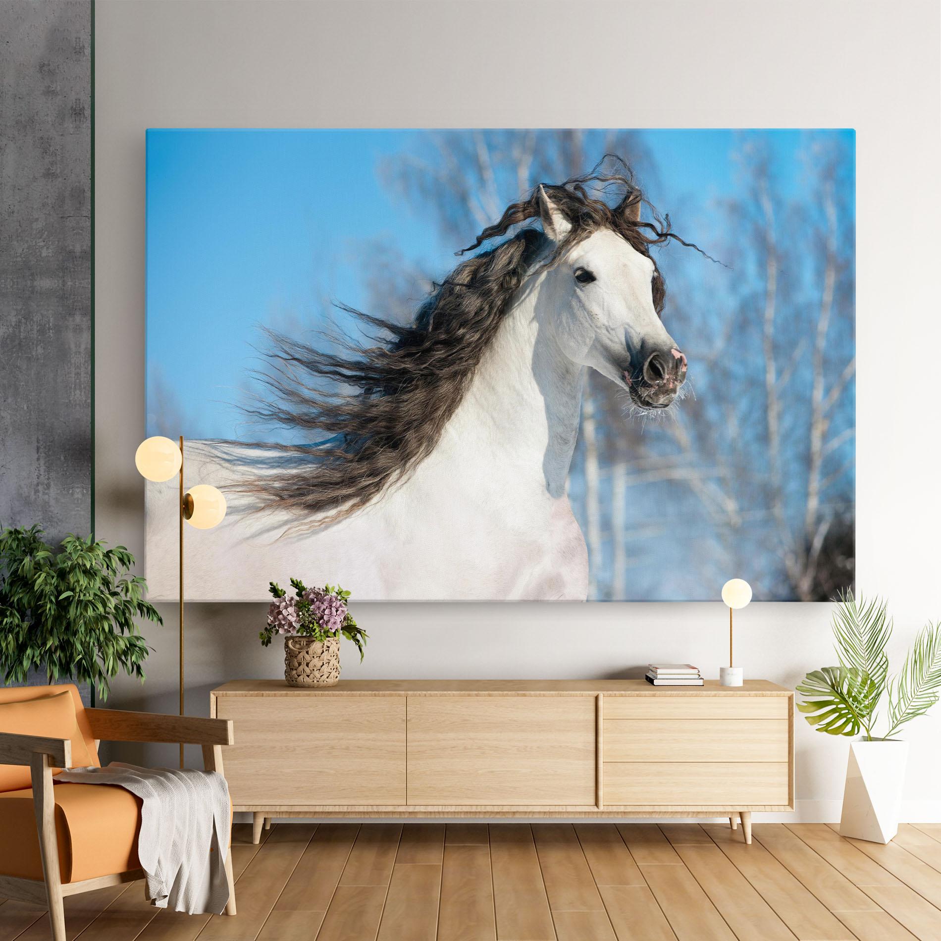 Leinwandbild Wild Black Hair Horse mockup 9