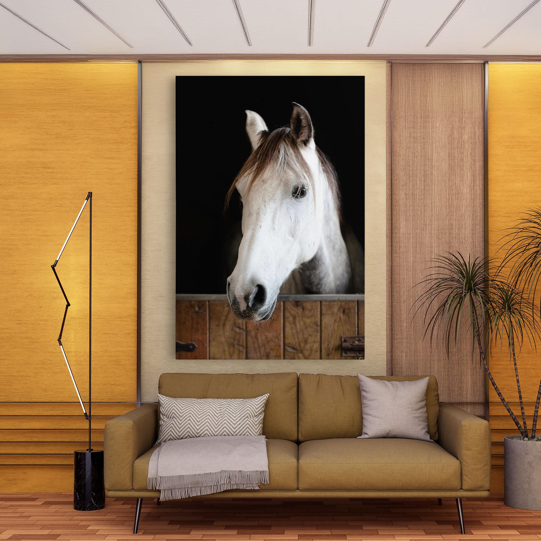 Leinwandbild Grey Horse Head mockup 9