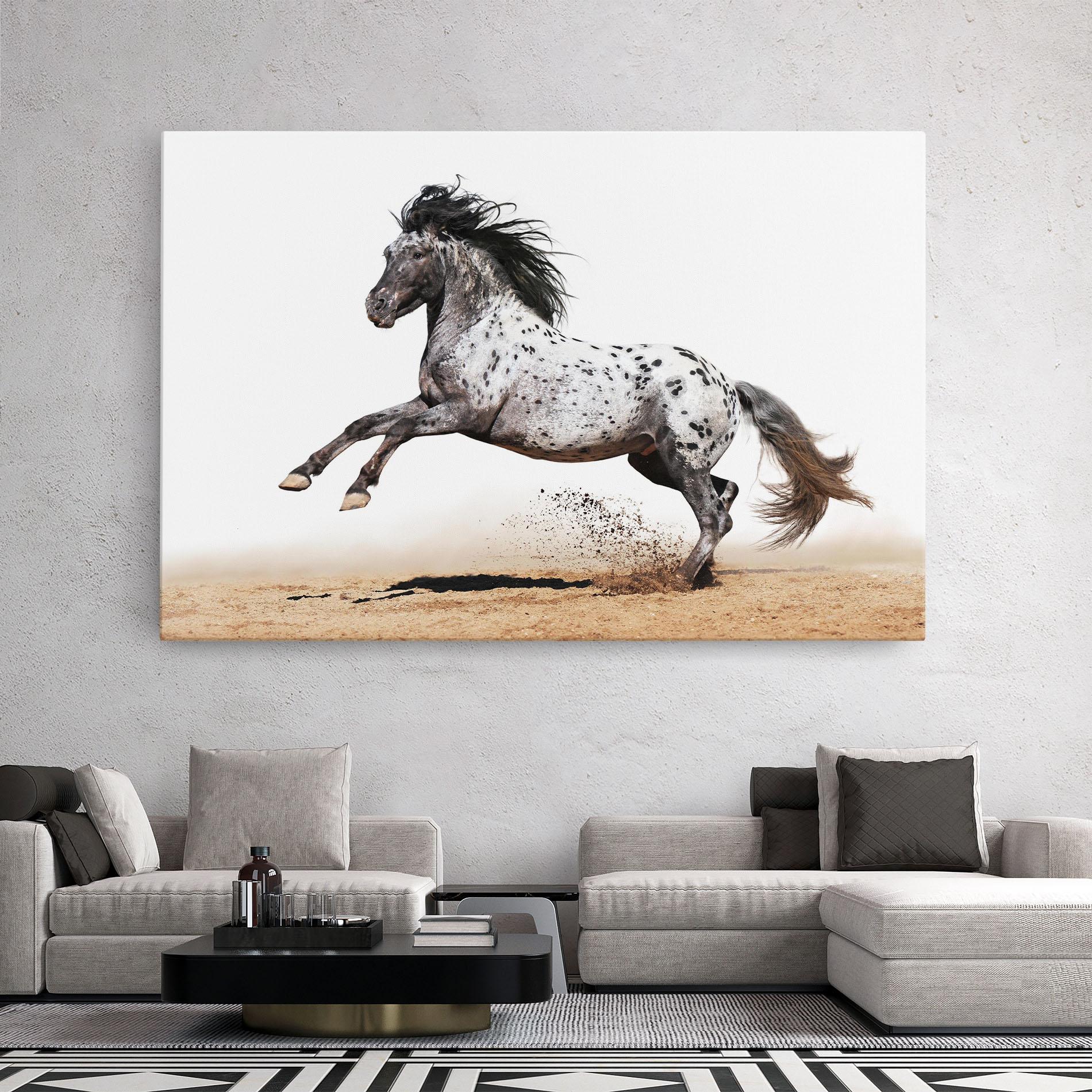 Leinwandbild Appaloosa Horse Running mockup 2