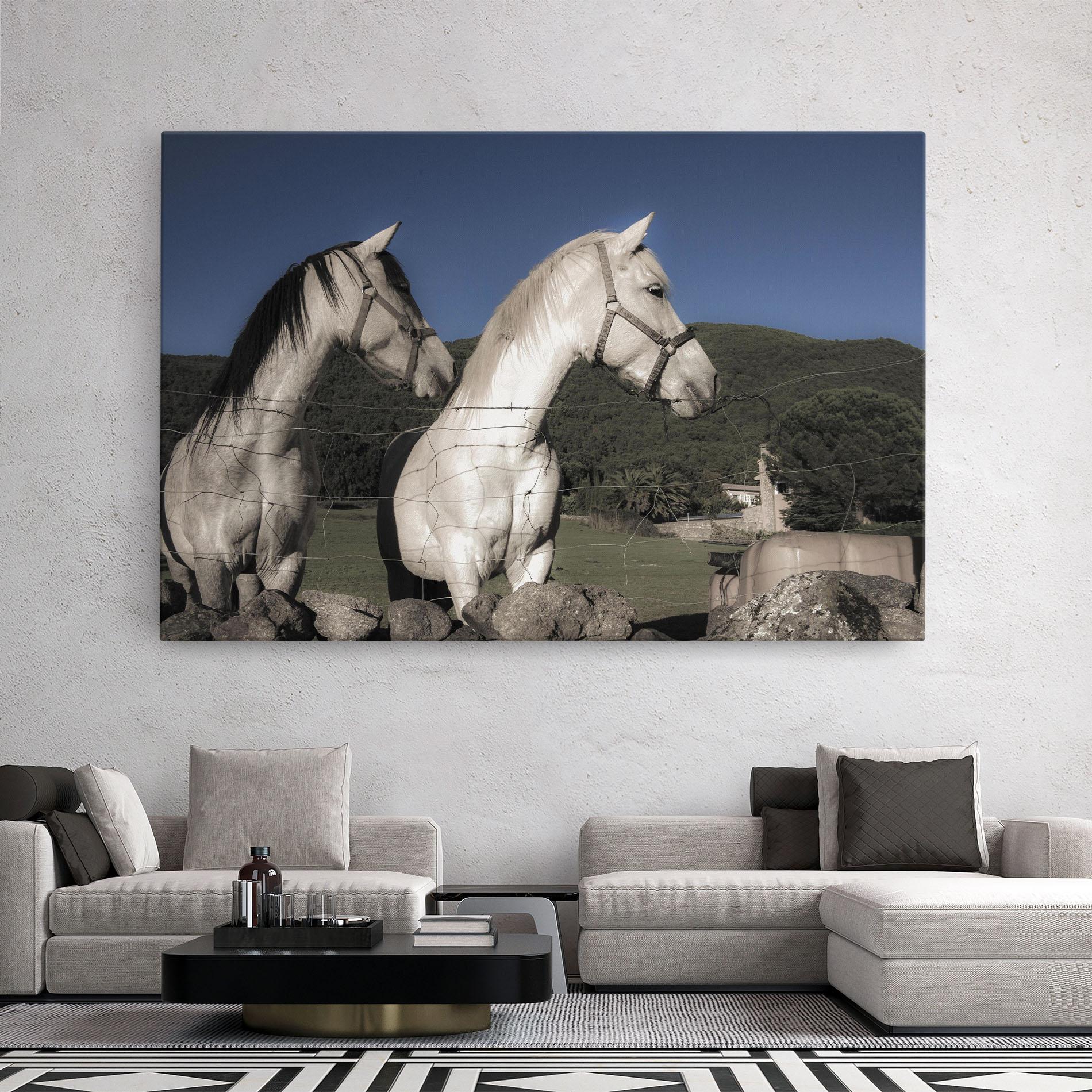Leinwandbild White Grey Horse mockup 2