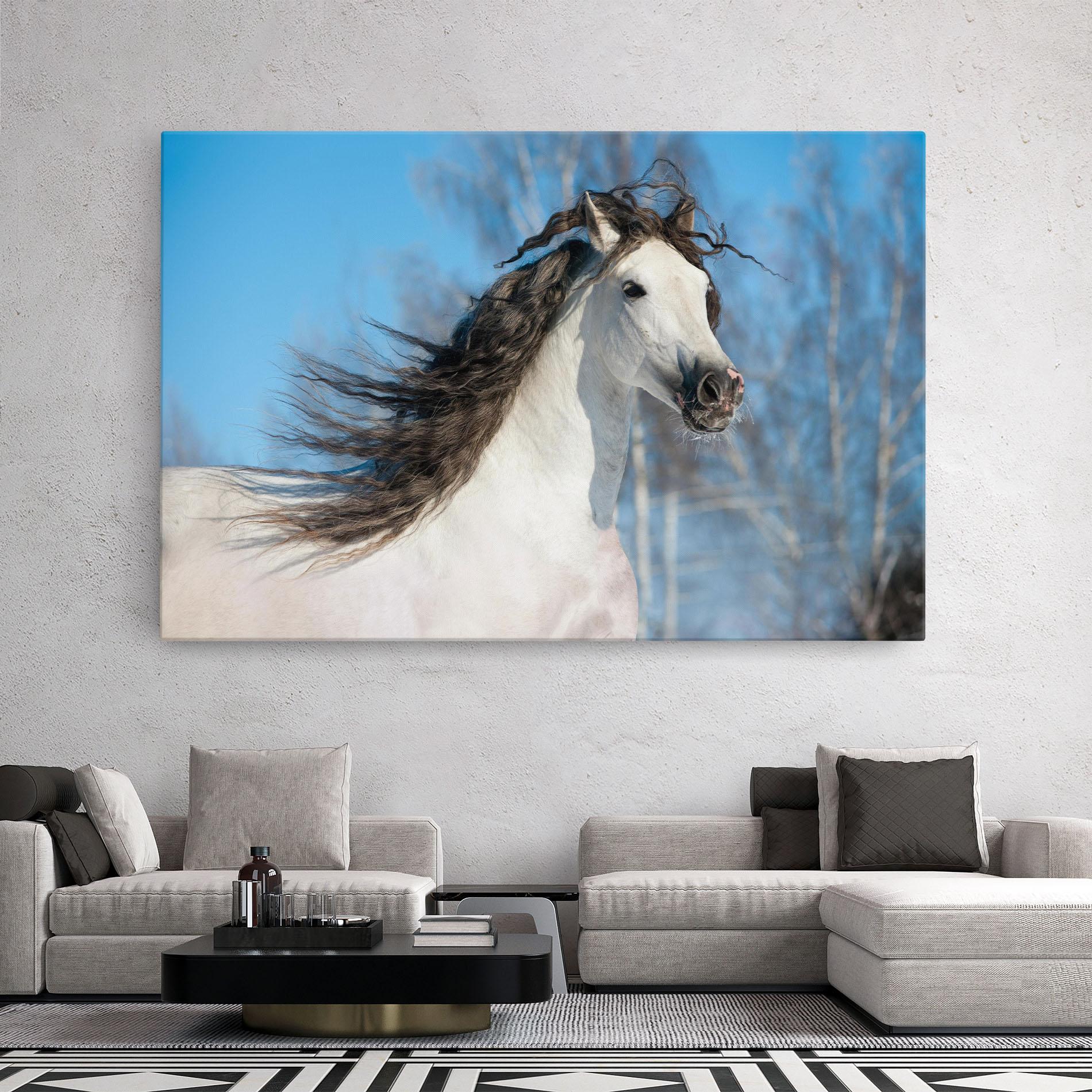 Leinwandbild Wild Black Hair Horse mockup 2