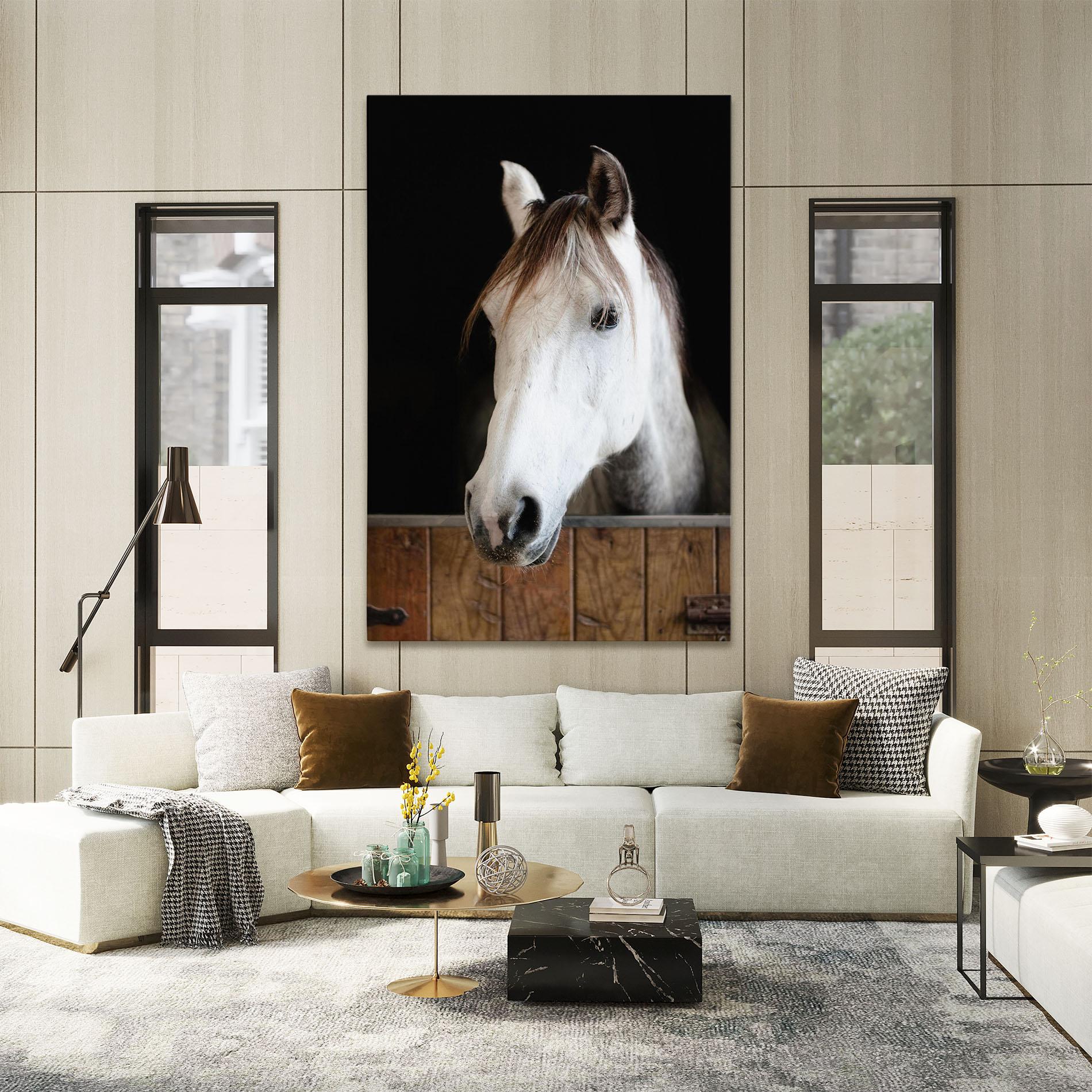 Leinwandbild Grey Horse Head mockup 2