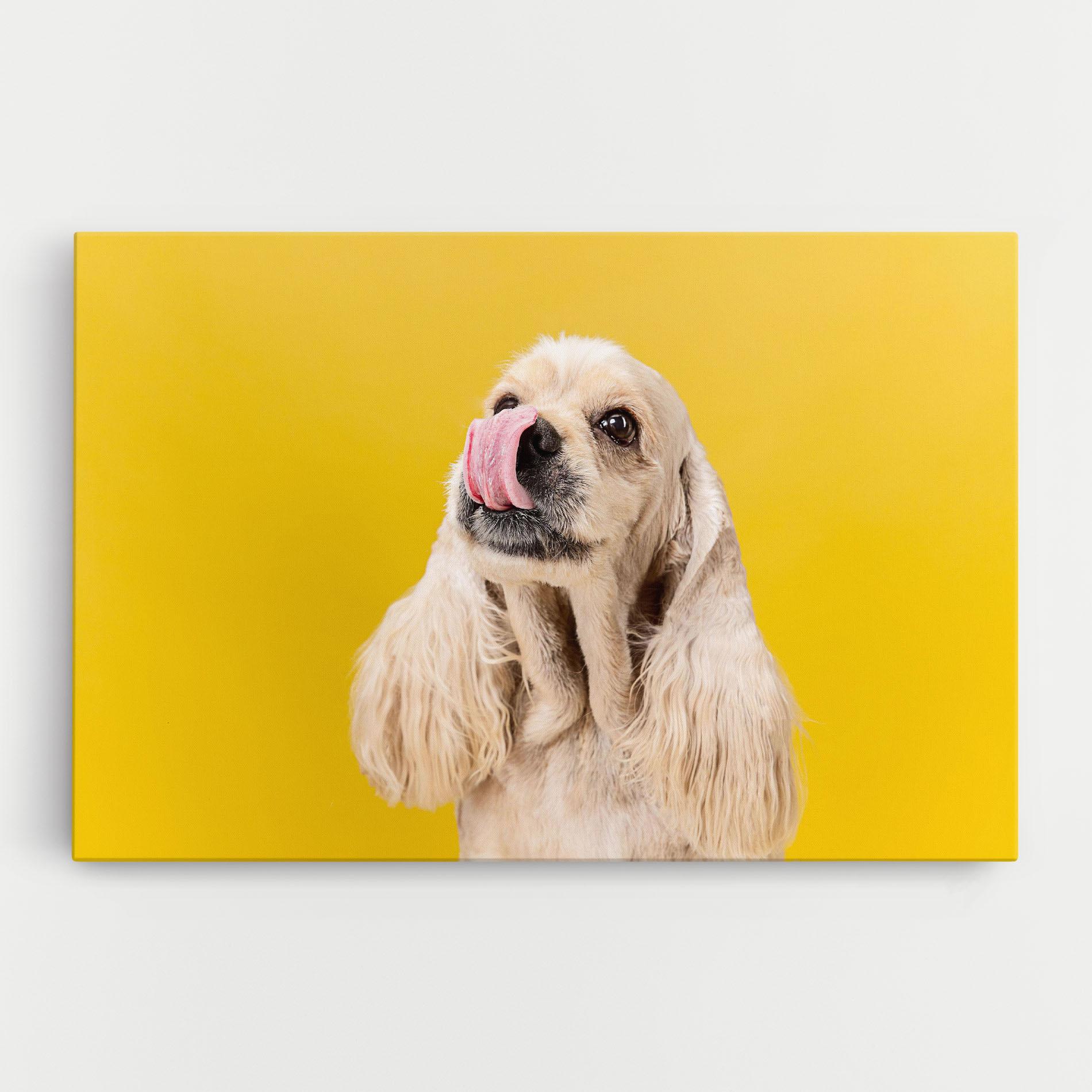 Leinwandbild American Spaniel mockup 0
