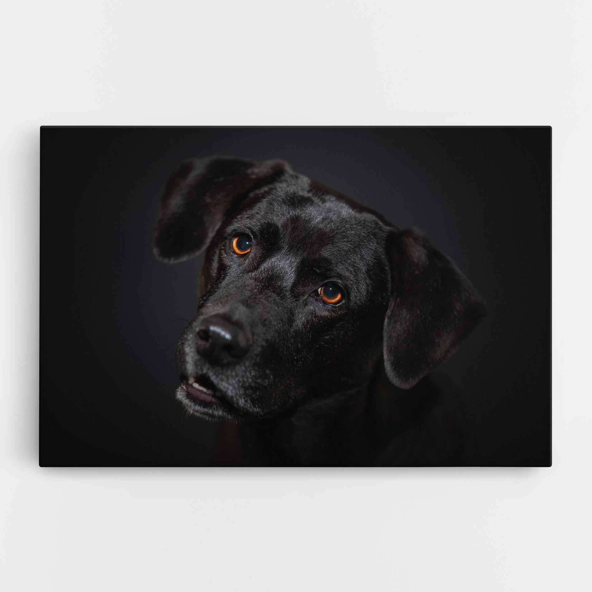 Leinwandbild Black Dog Portrait mockup 0