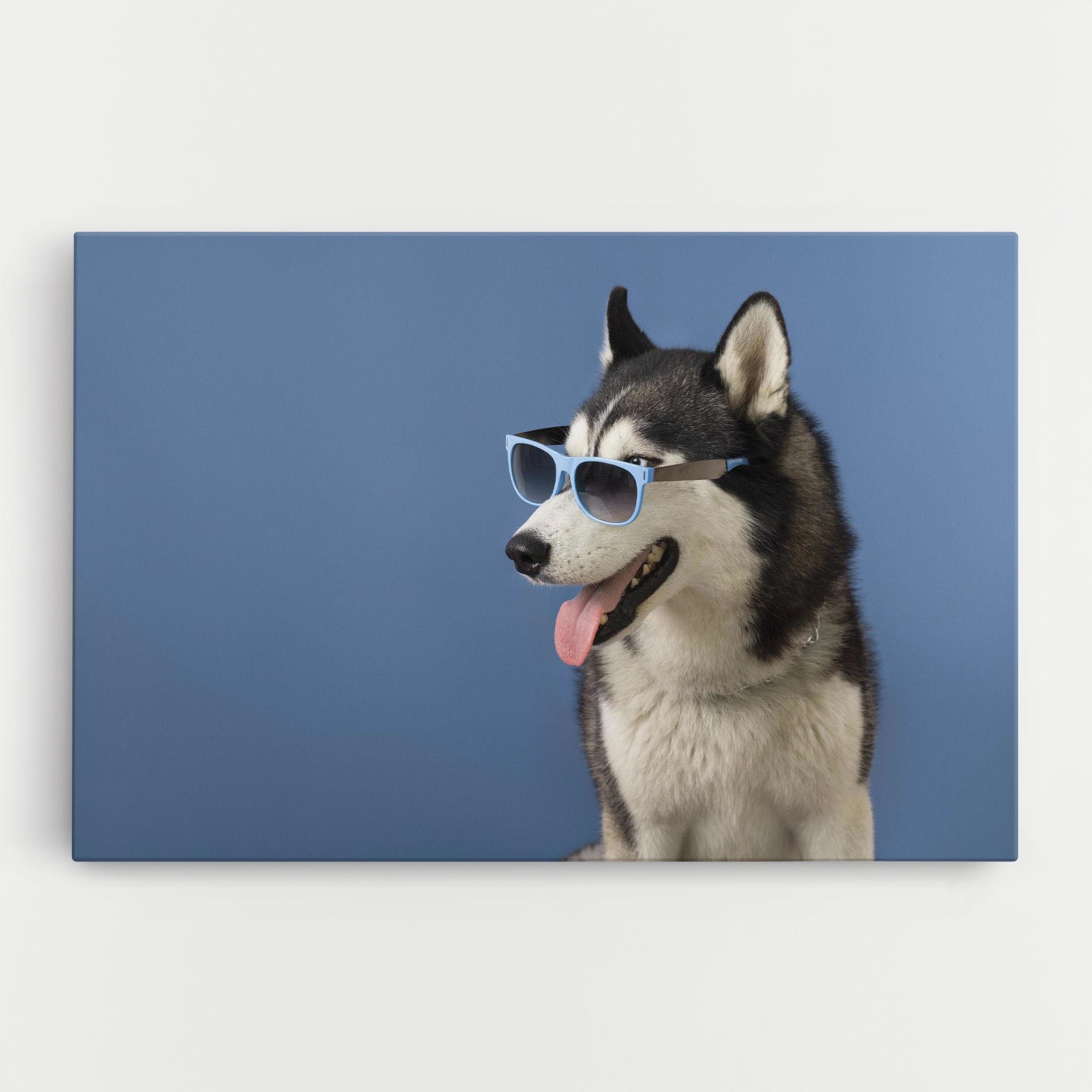Leinwandbild Blue Glasses Dog mockup 0