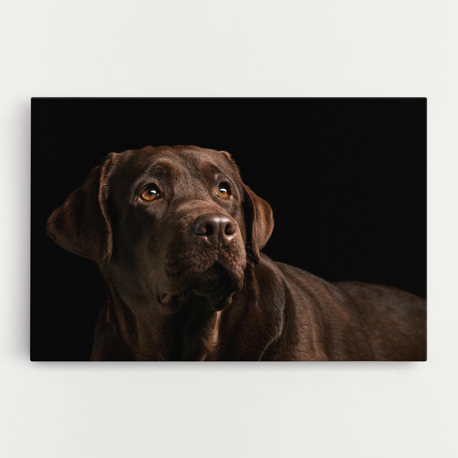 Leinwandbild Brown Labrador mockup 0