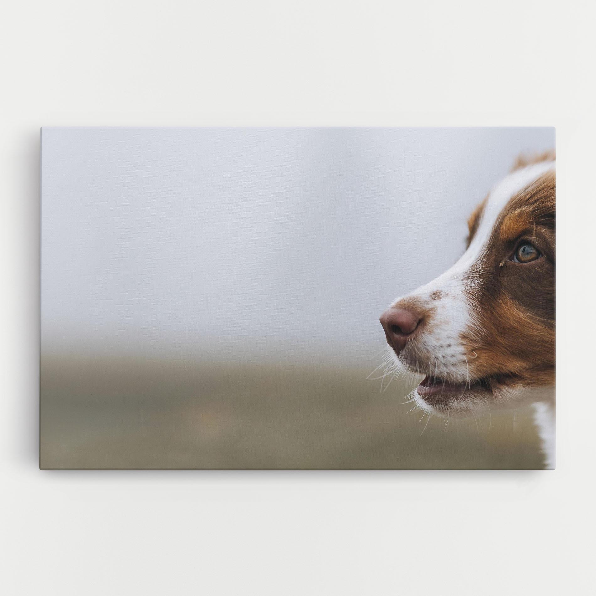 Leinwandbild Brown White Dog mockup 0