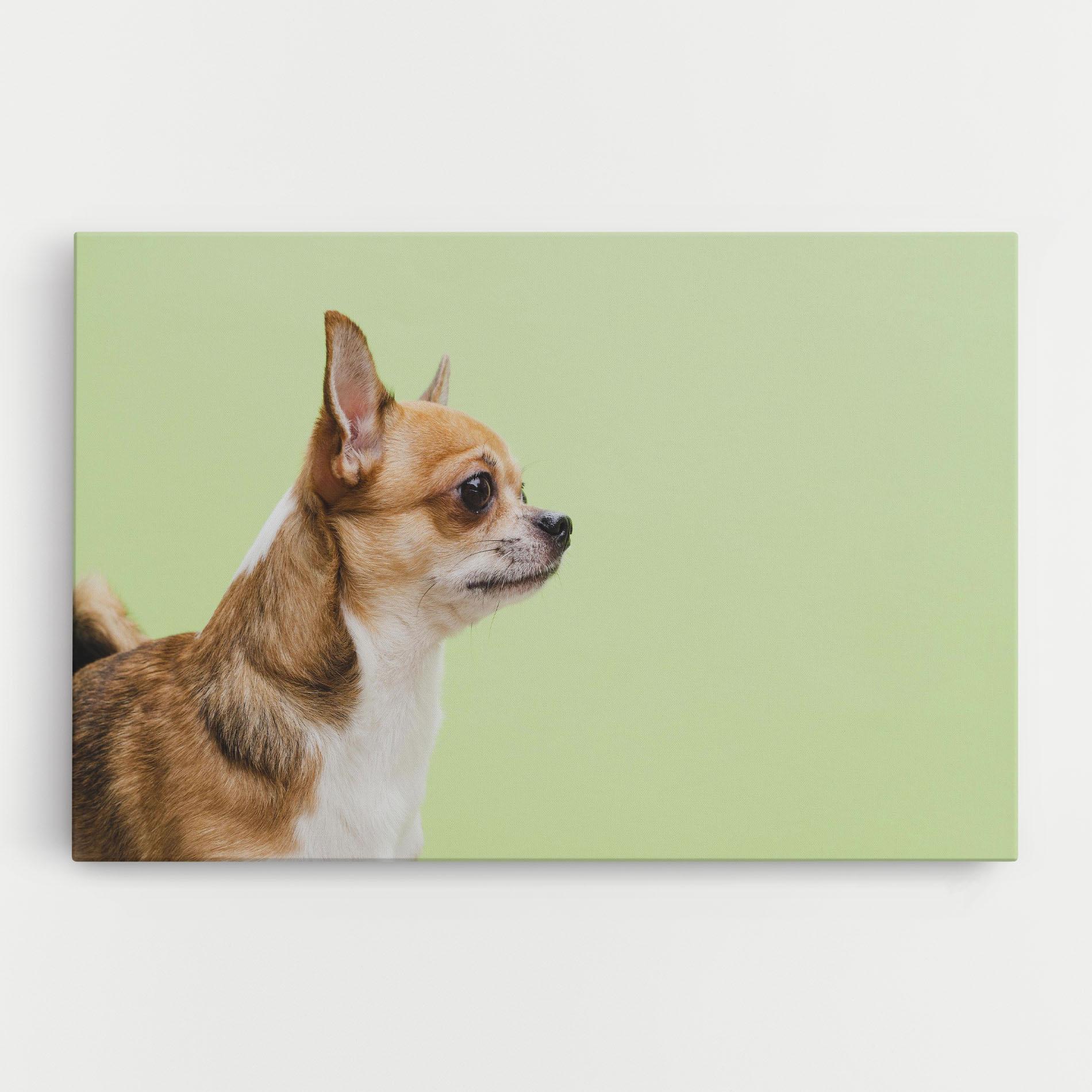 Leinwandbild Chihuahua Dog mockup 0