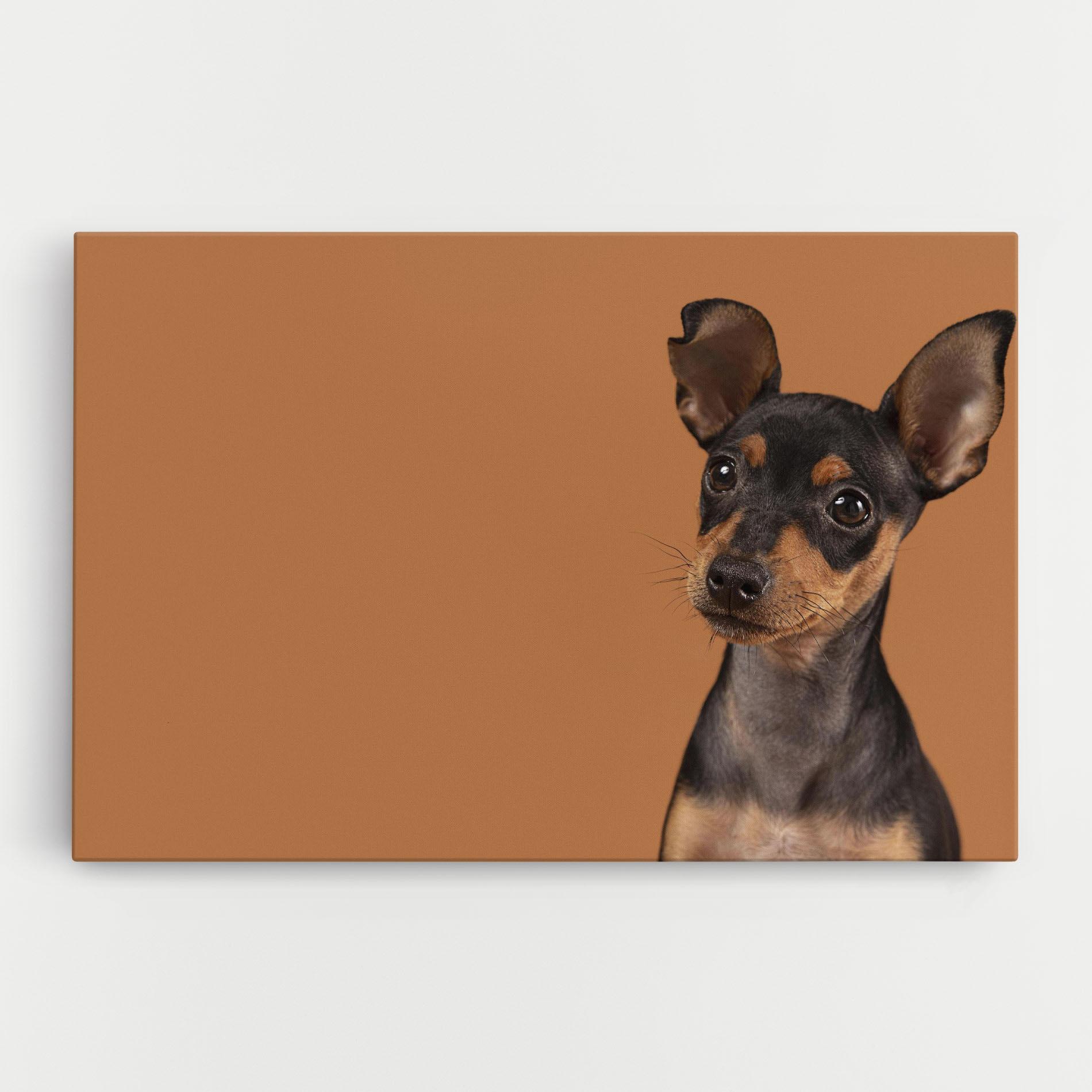 Leinwandbild Cute Dog Portrait mockup 0