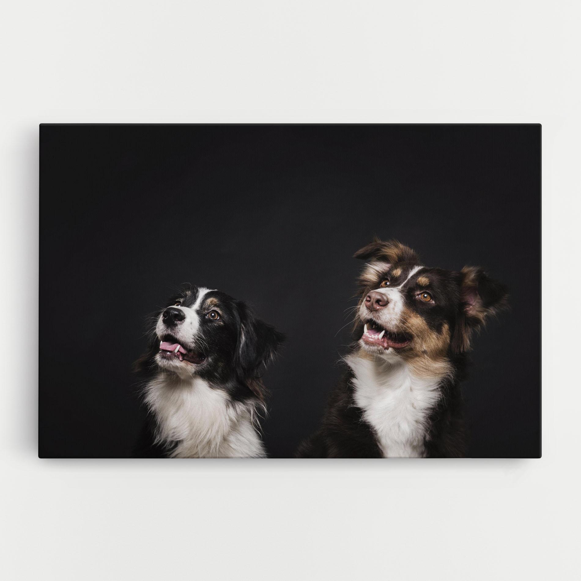 Leinwandbild Cute Dogs Standing mockup 0