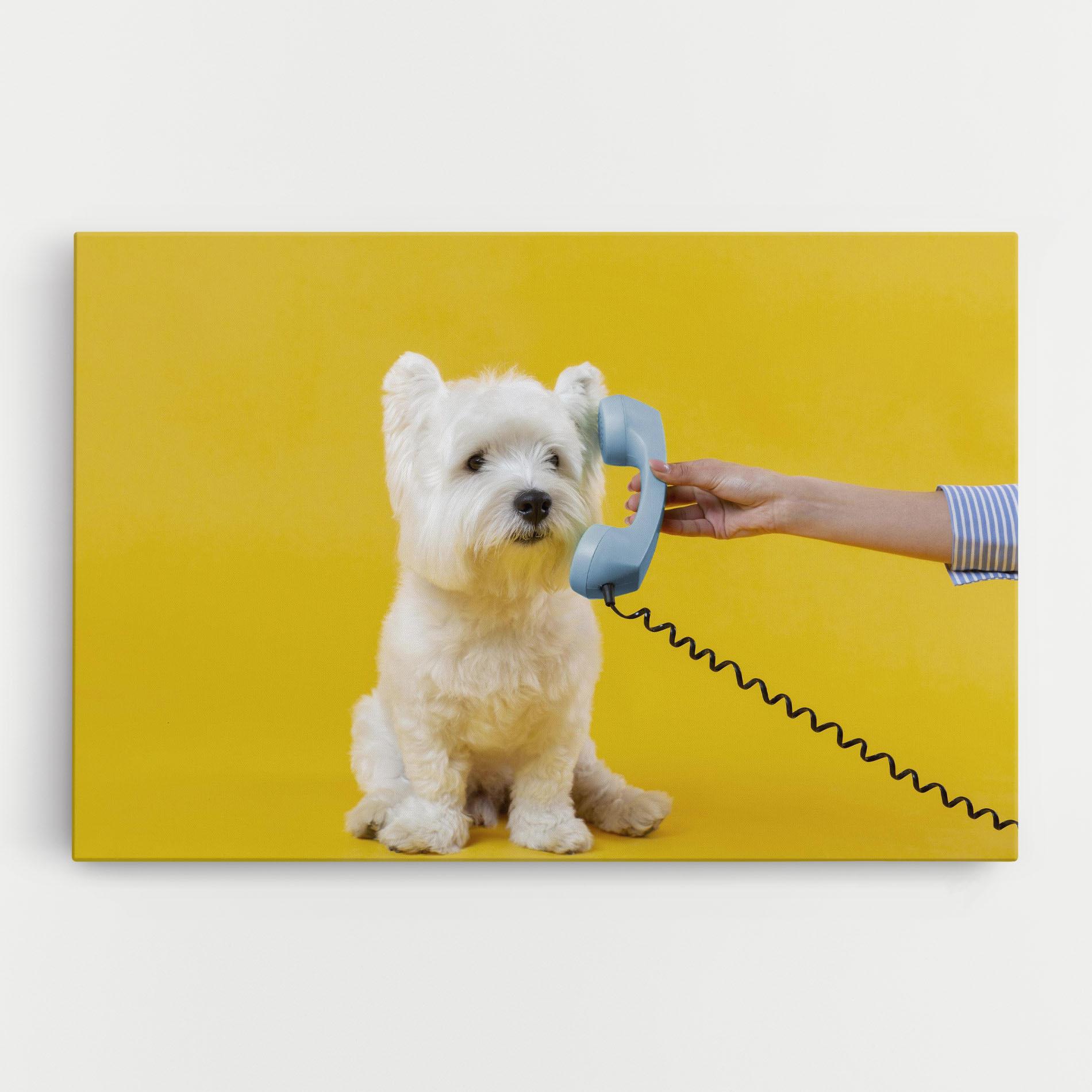 Leinwandbild Cute Little Dog mockup 0