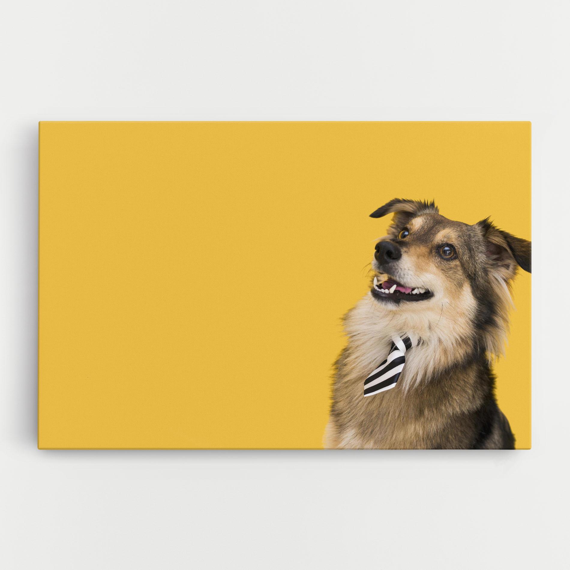 Leinwandbild Cute Smiling Dog mockup 0