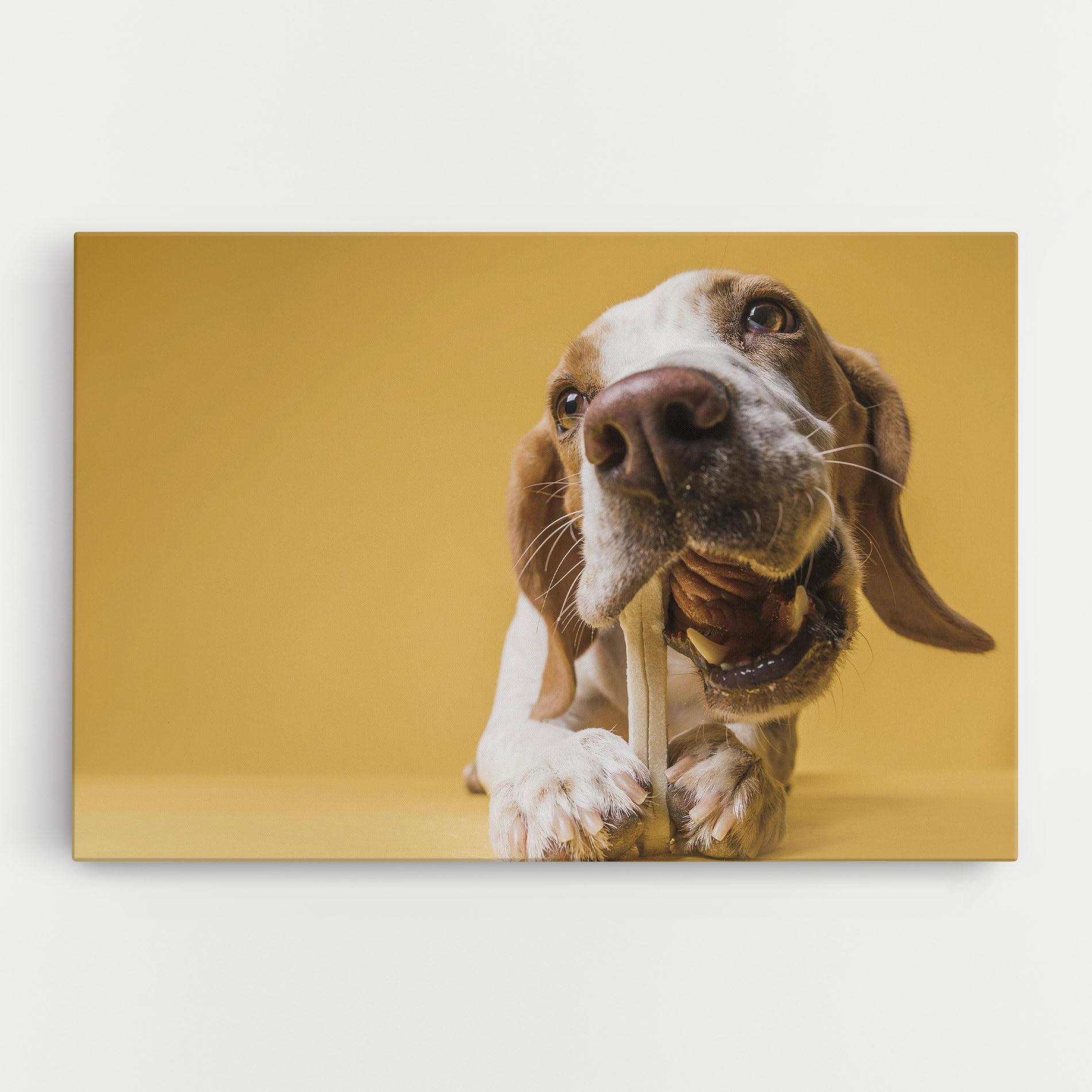 Leinwandbild Dog Eating Bone mockup 0