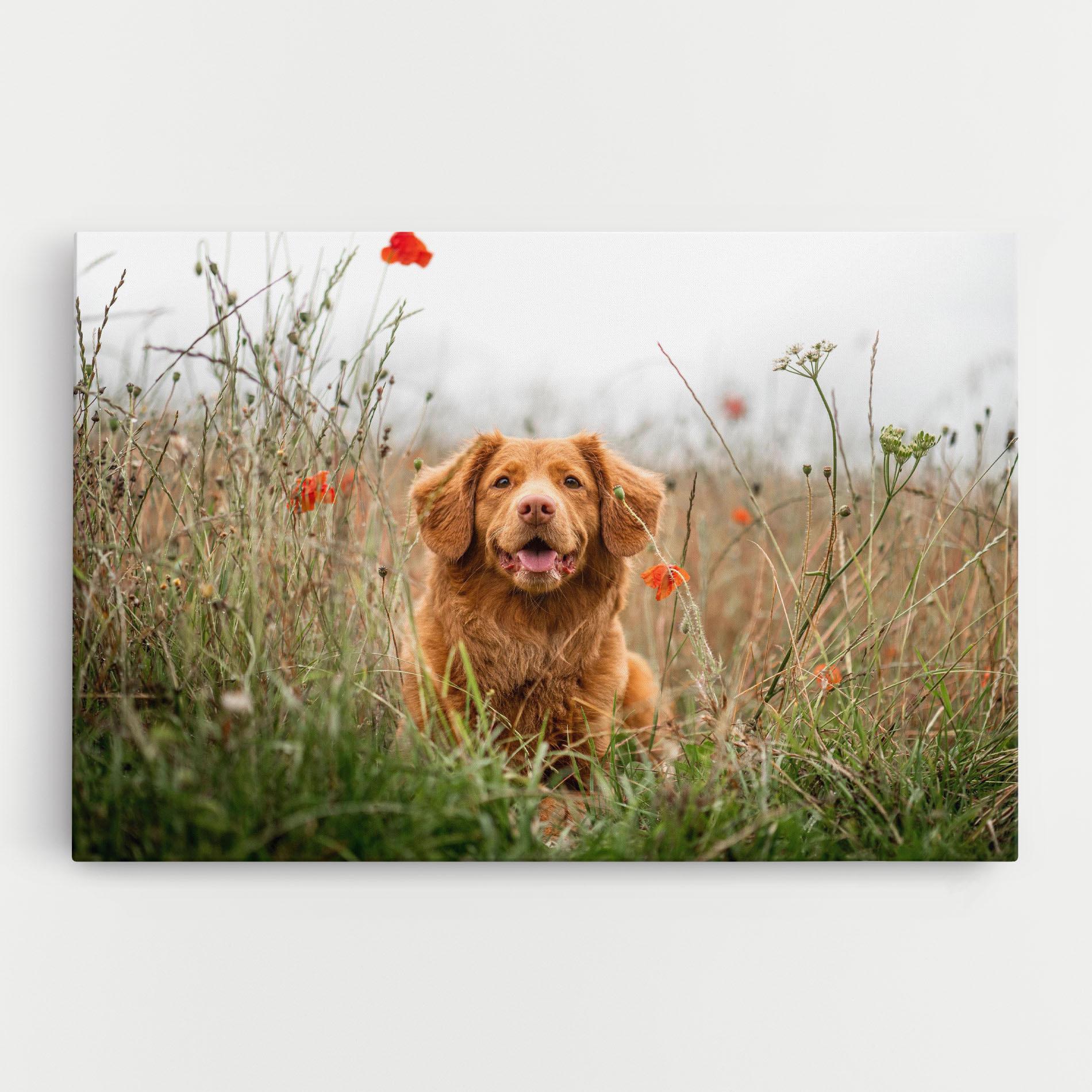 Leinwandbild Red Flowers Dog mockup 0