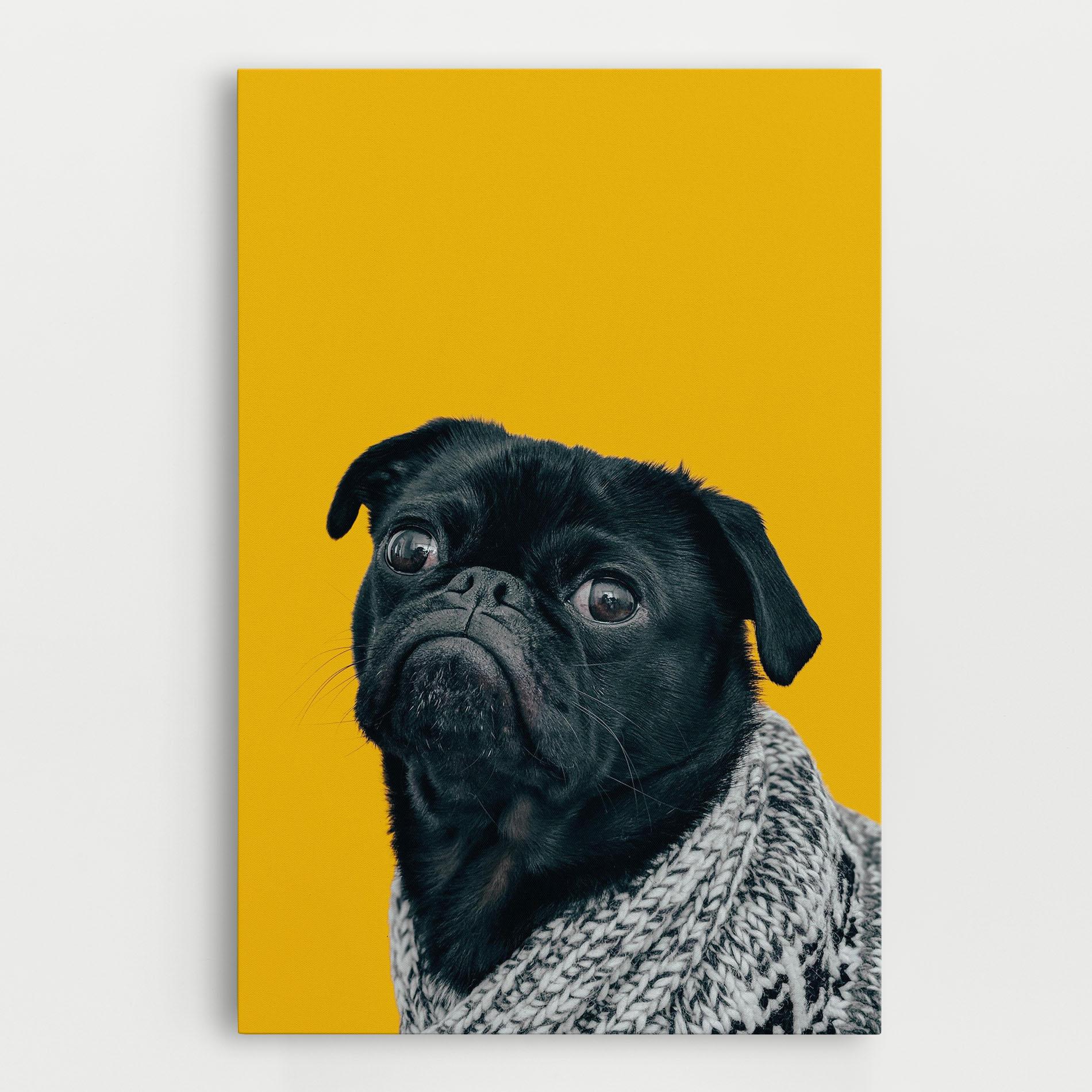 Leinwandbild Black Pug mockup 0