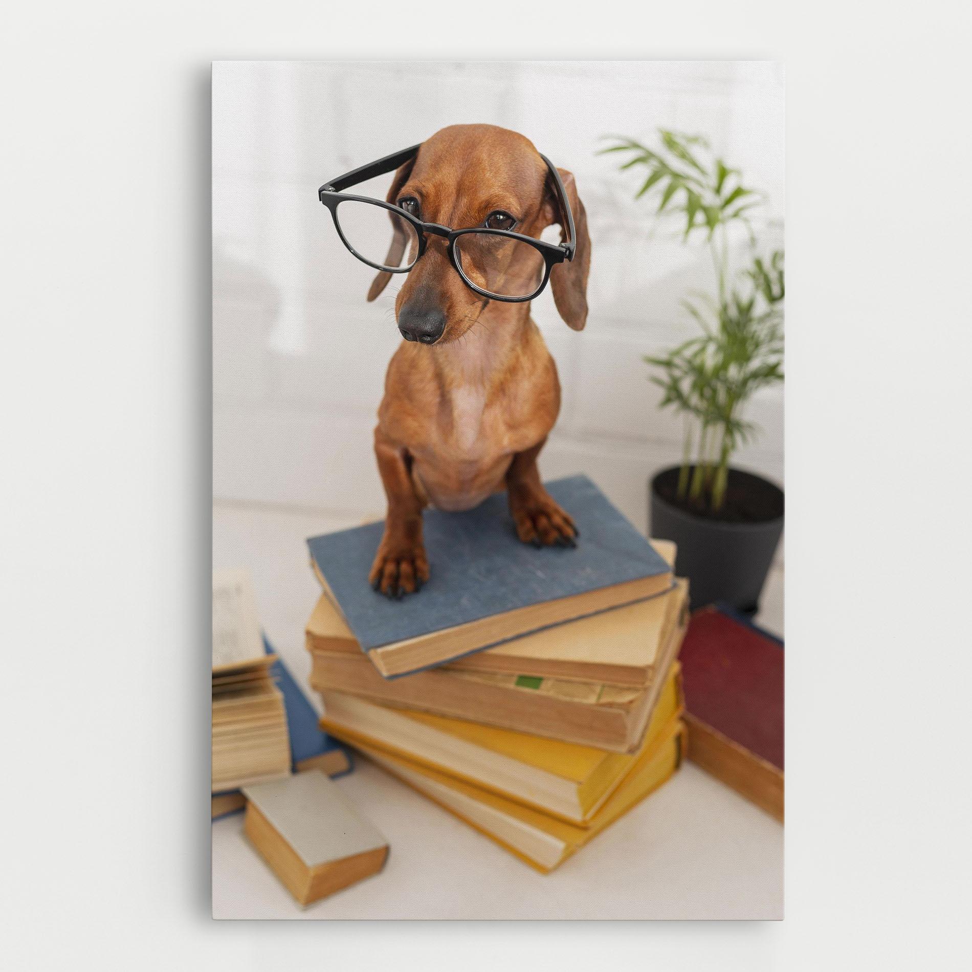 Leinwandbild Books Cute Dog mockup 0