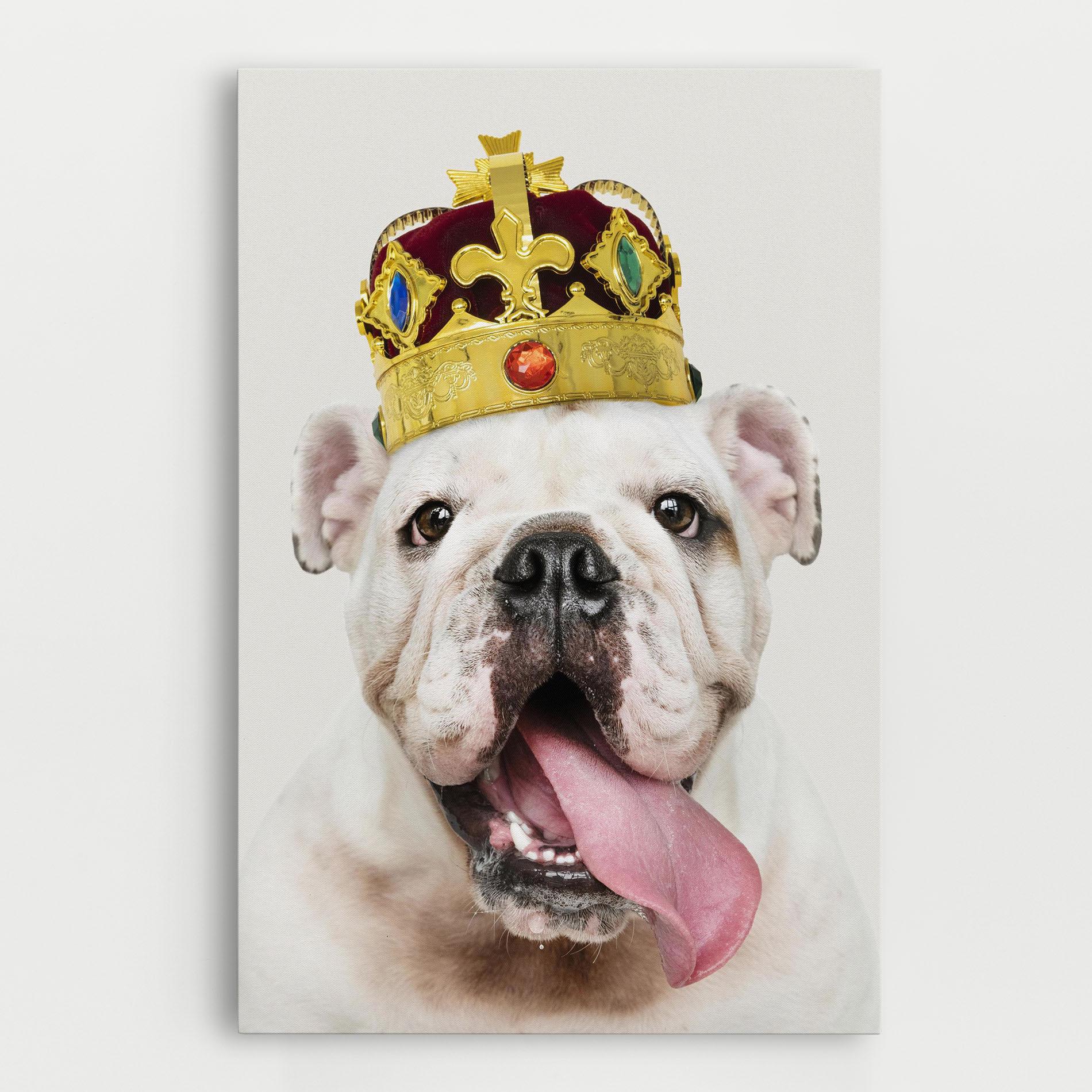 Leinwandbild Bulldog Wearing Crown mockup 0