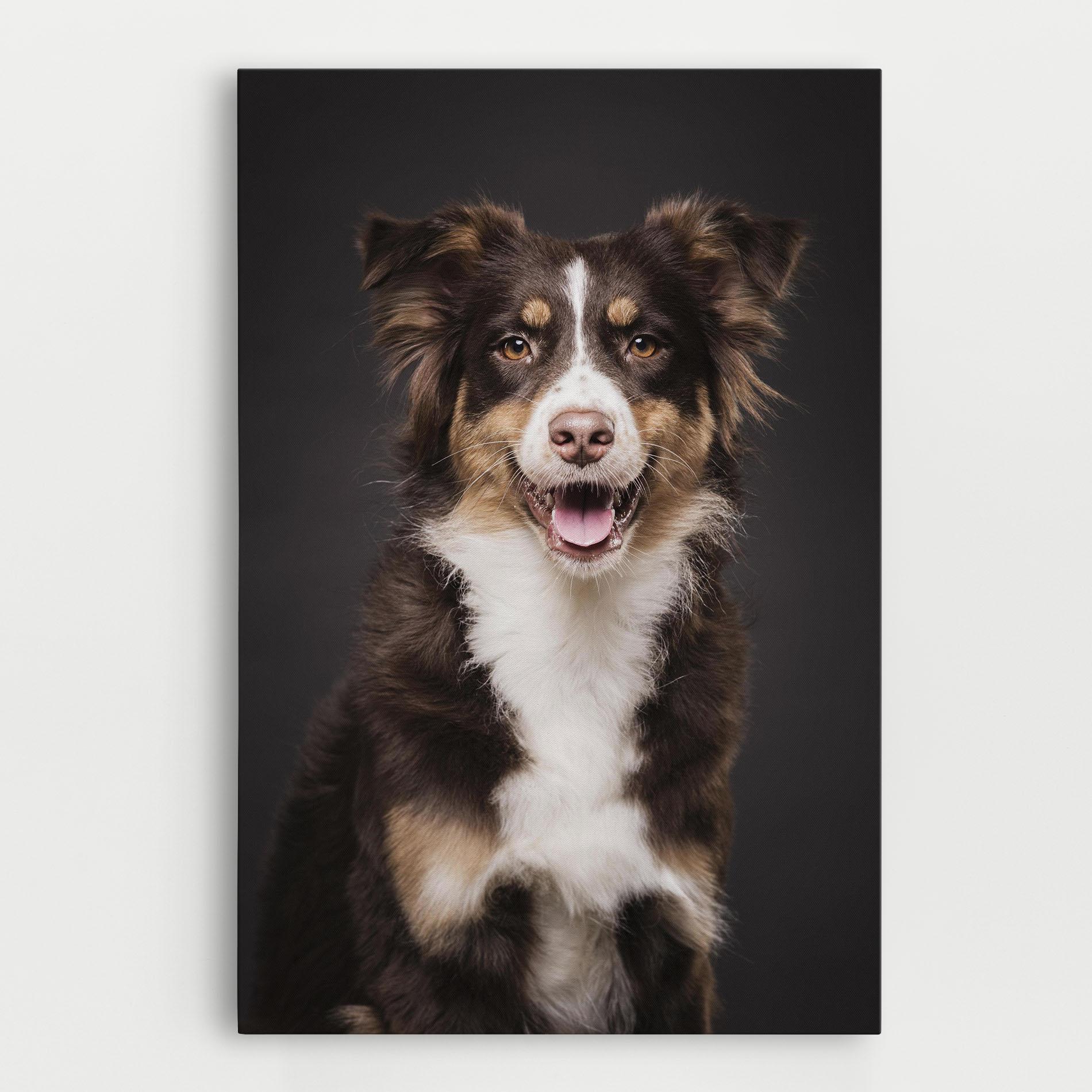 Leinwandbild Cute Dog Sitting mockup 0