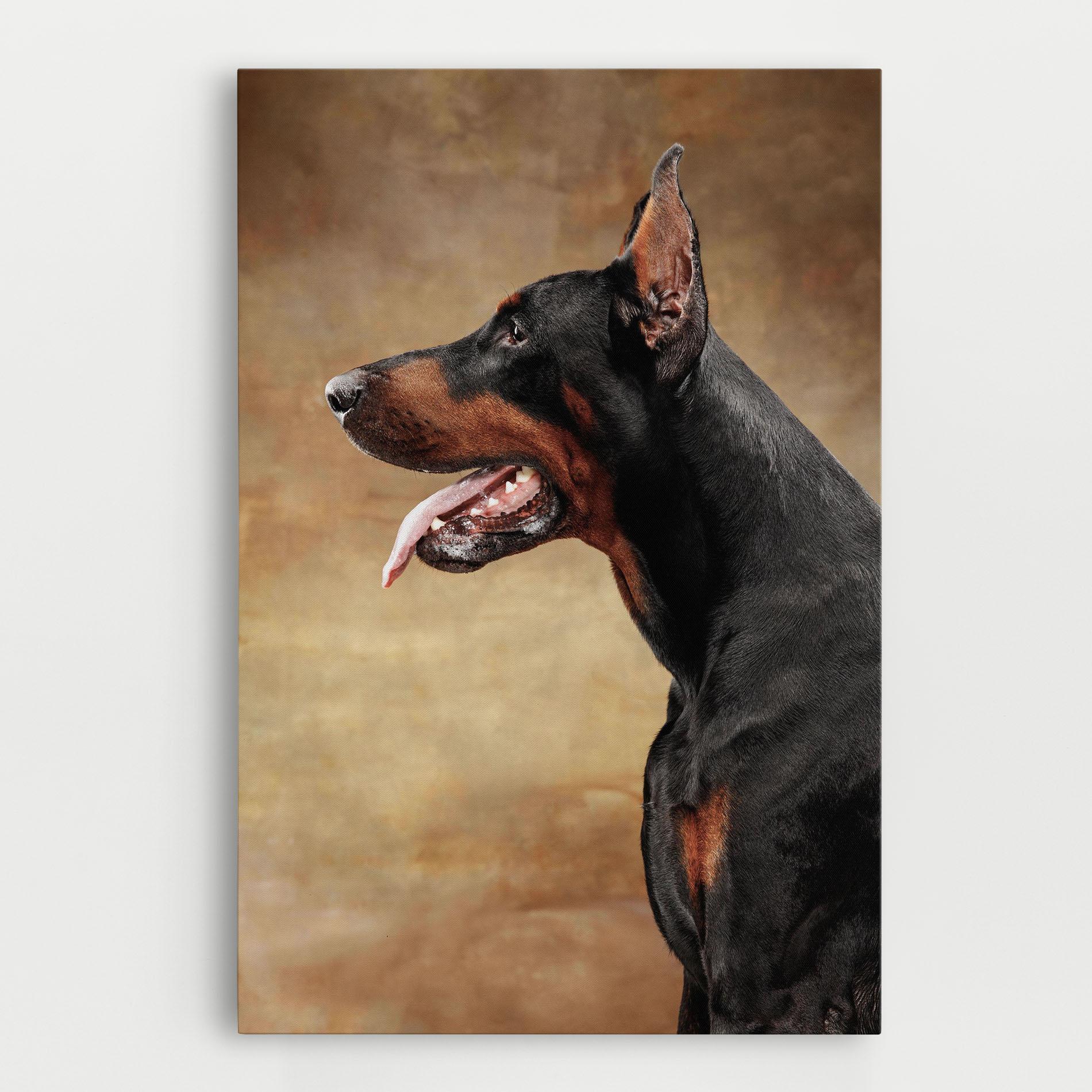 Leinwandbild Doberman Pinscher mockup 0