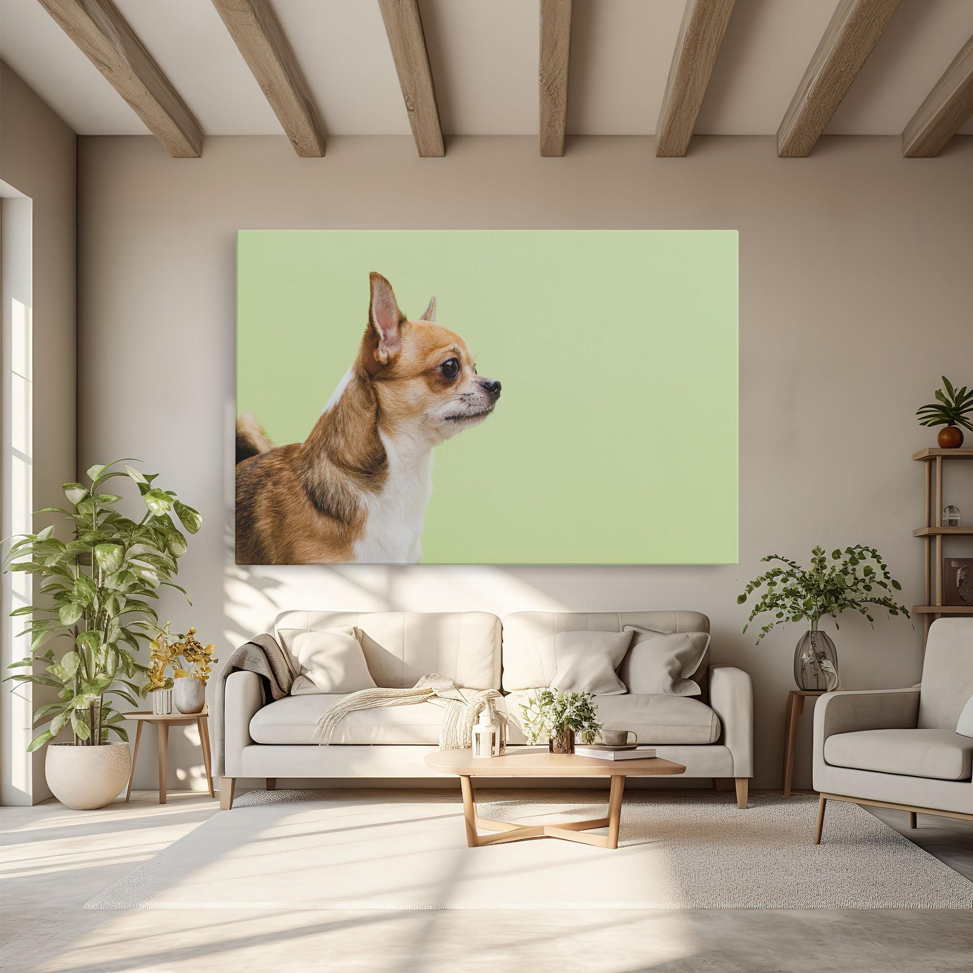 Leinwandbild Chihuahua Dog mockup 6