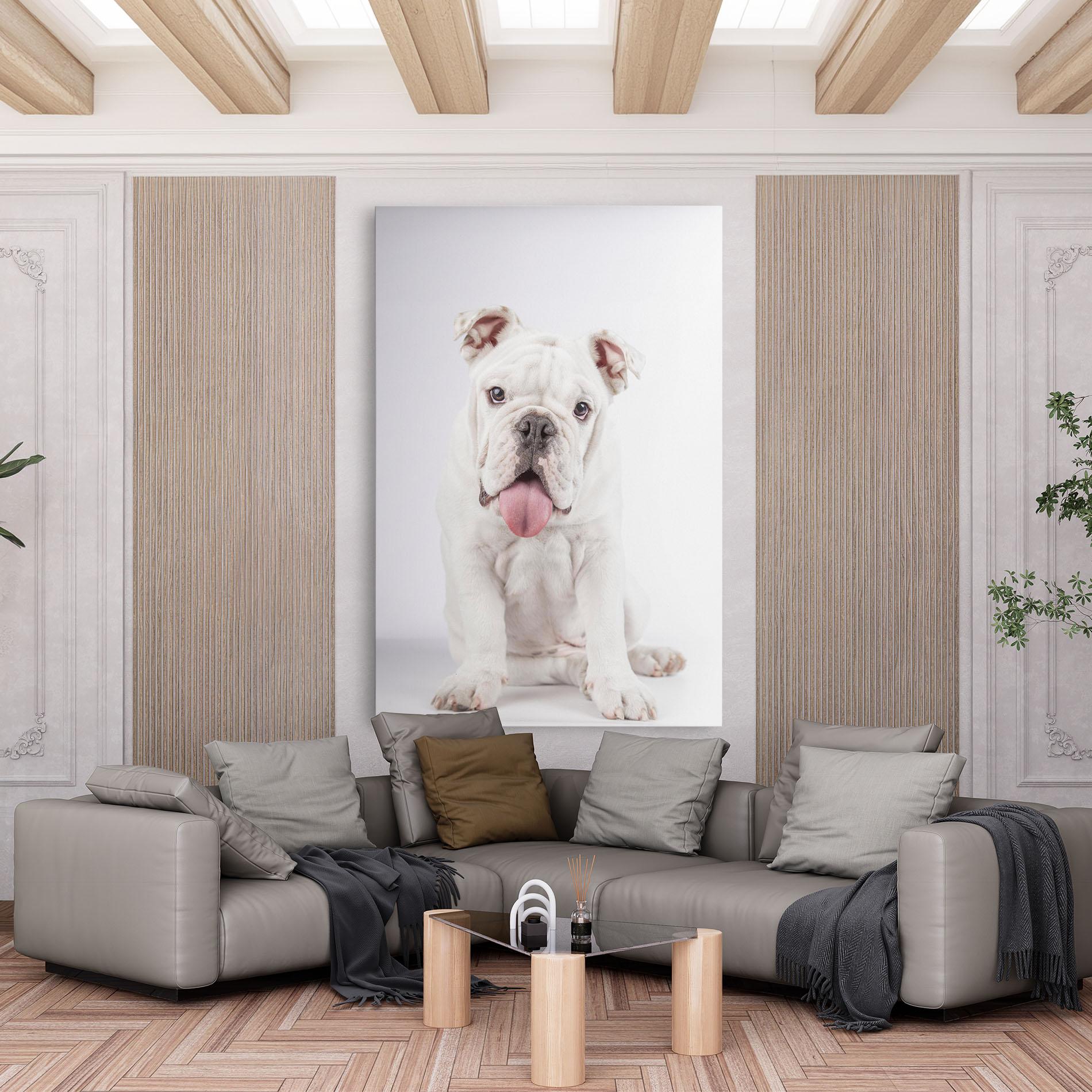 Leinwandbild English Bulldog mockup 6