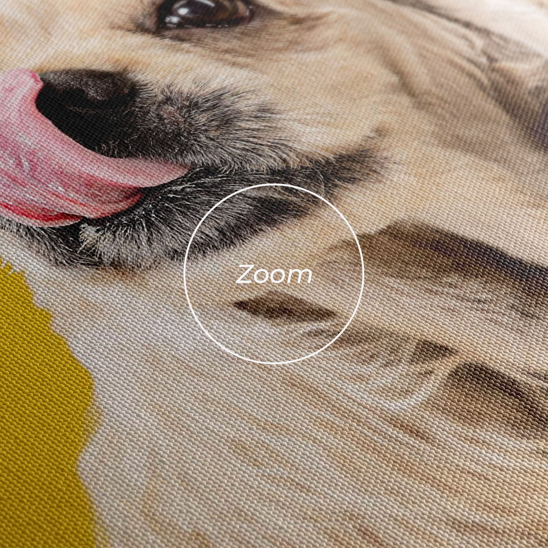 American Spaniel mockup 3