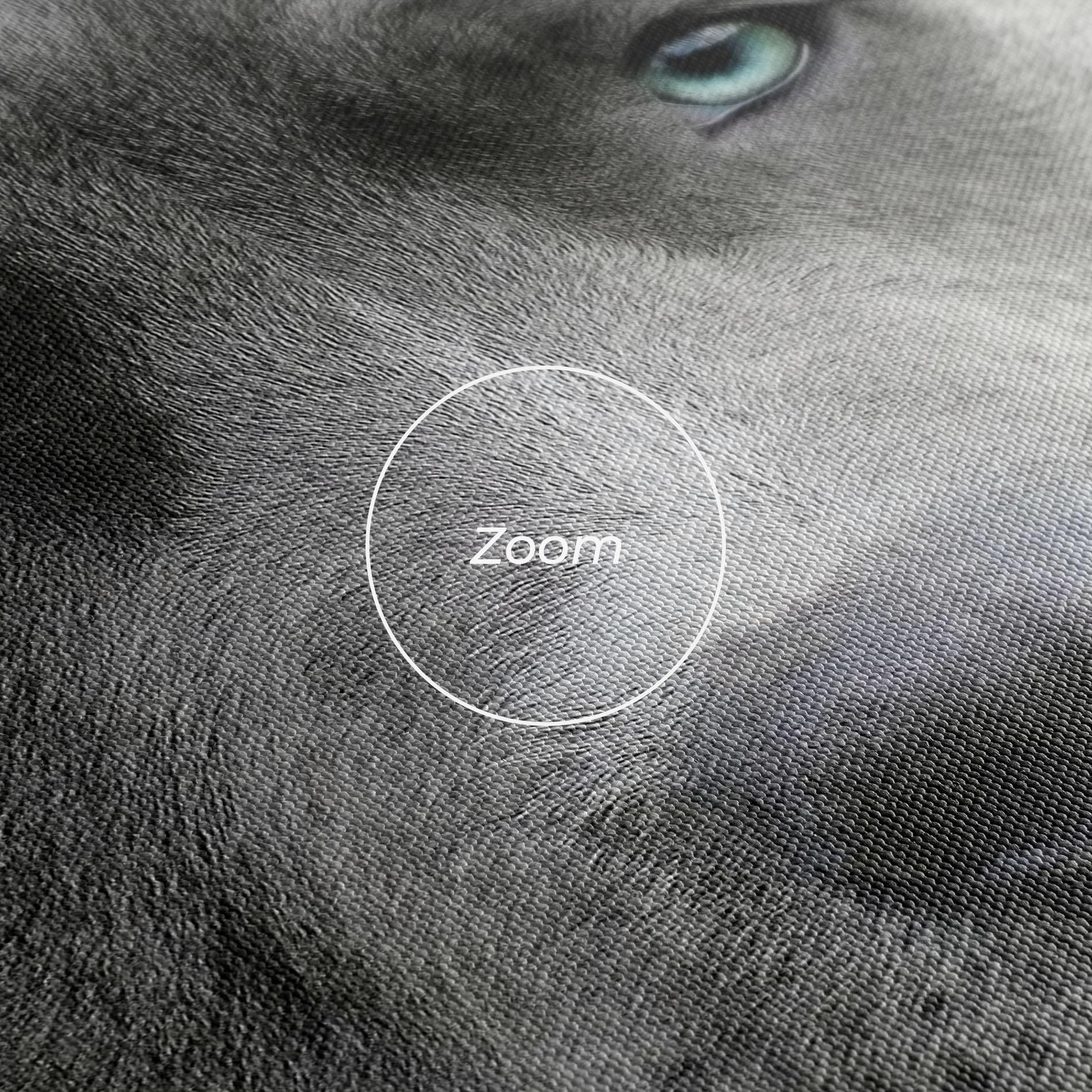 Leinwandbild Blue Eyes Dog mockup 3