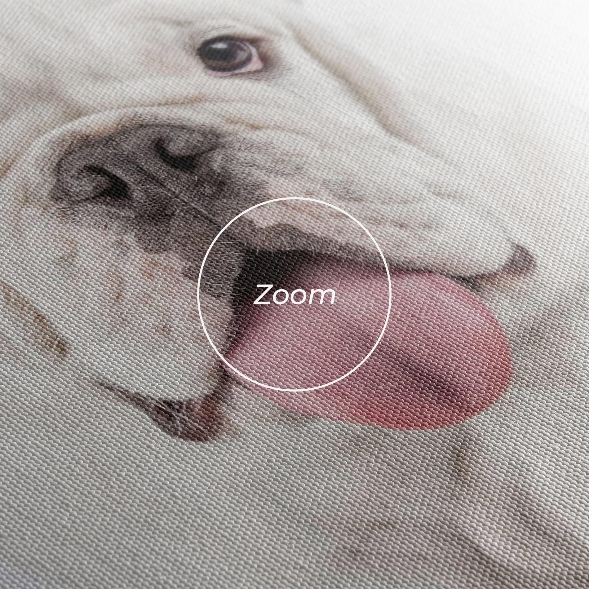 Leinwandbild English Bulldog mockup 3