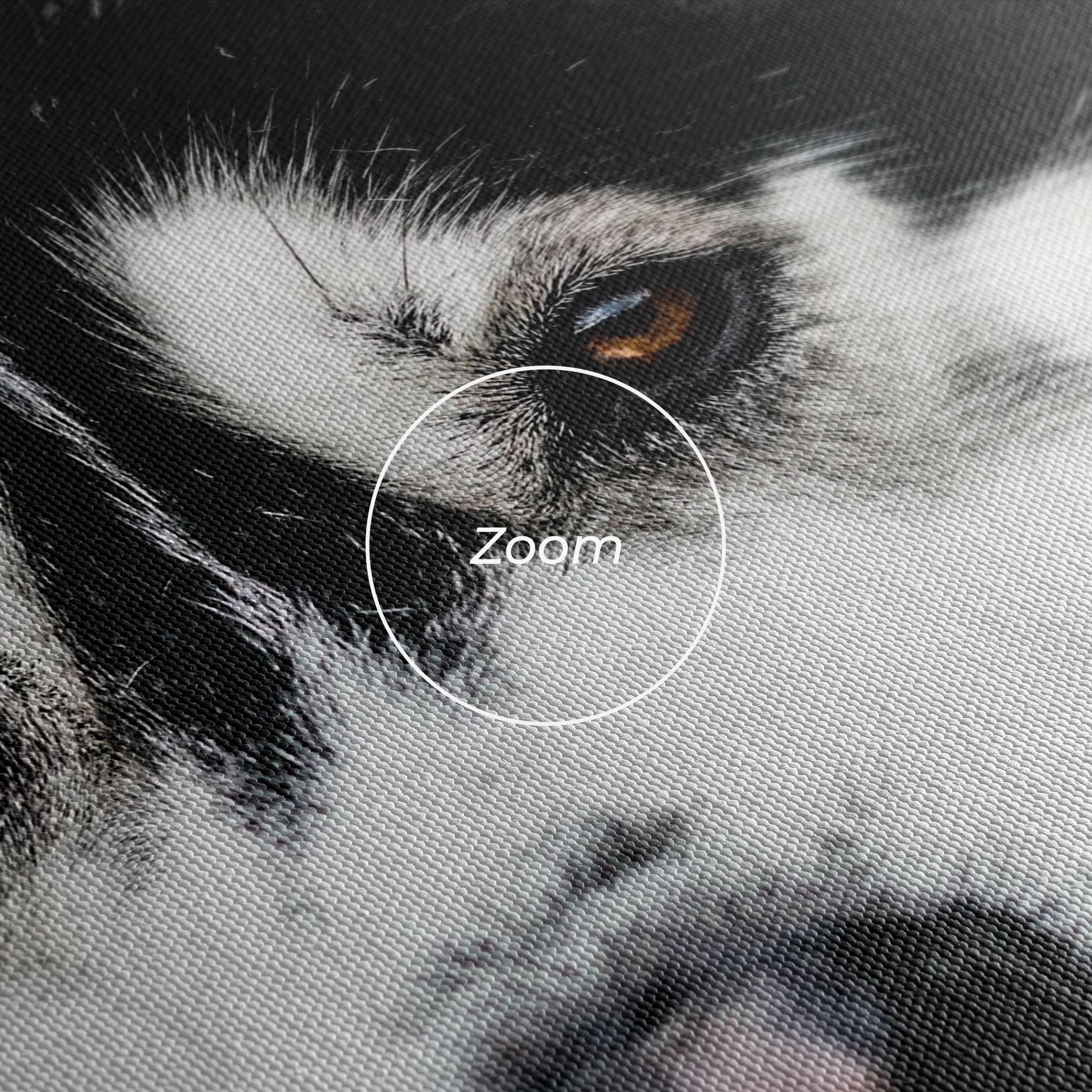 Leinwandbild Husky Dog mockup 3