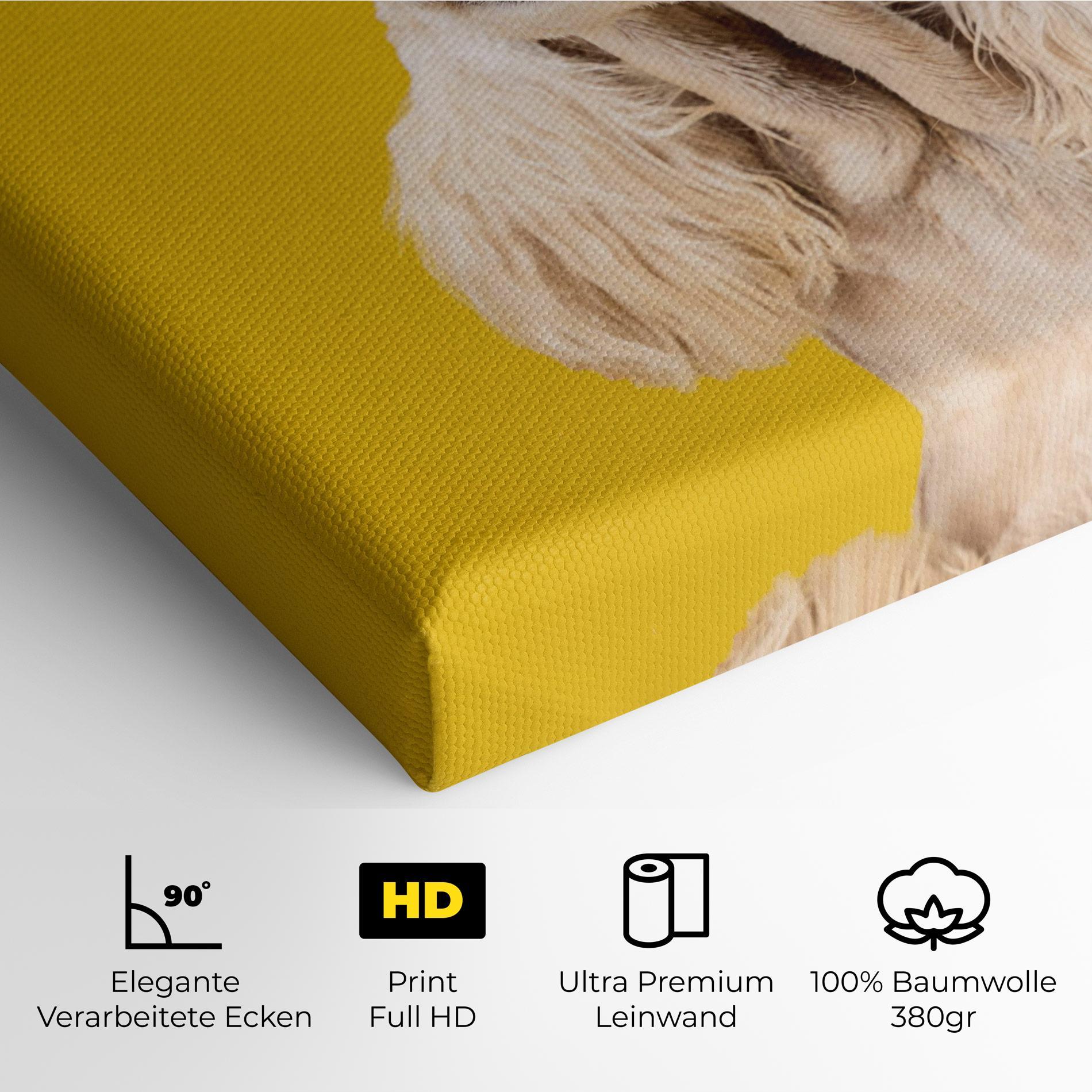 Leinwandbild American Spaniel mockup 4