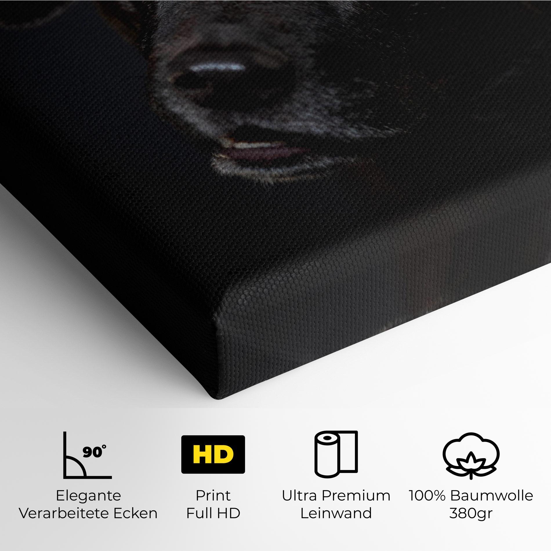Leinwandbild Black Dog Portrait mockup 4