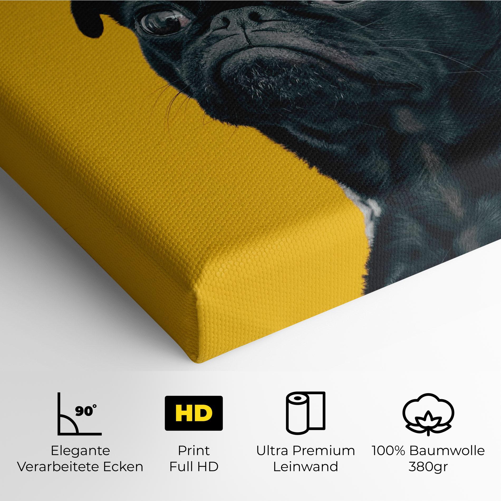 Leinwandbild Black Pug mockup 4