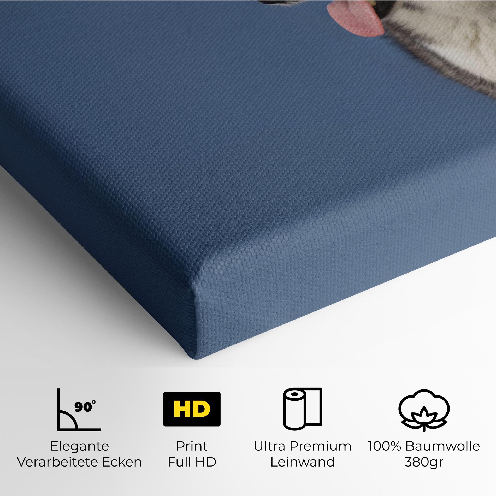 Leinwandbild Blue Glasses Dog mockup 4