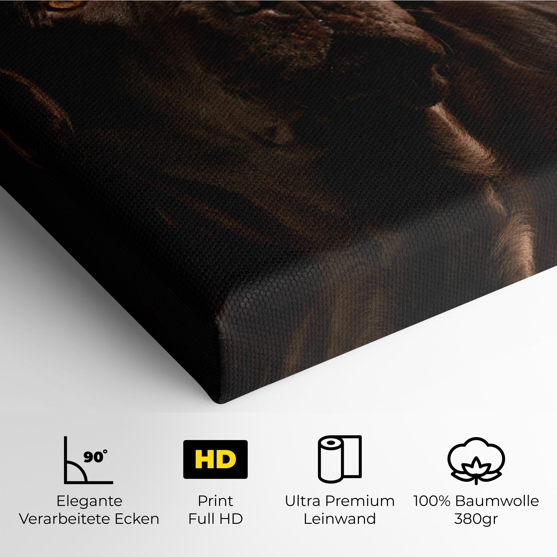 Leinwandbild Brown Labrador mockup 4