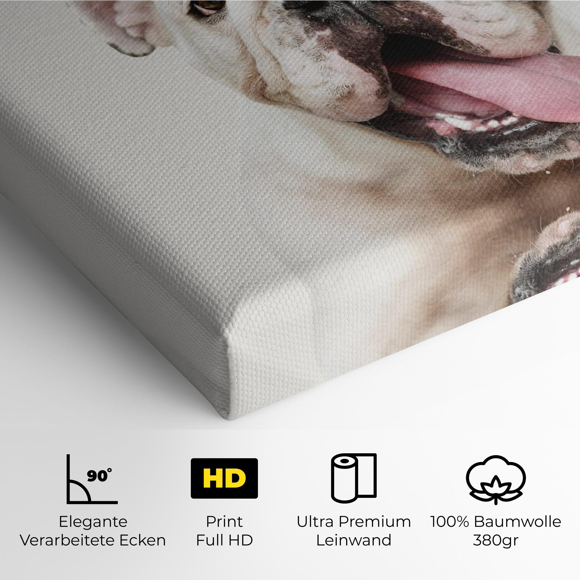 Leinwandbild Bulldog Wearing Crown mockup 4