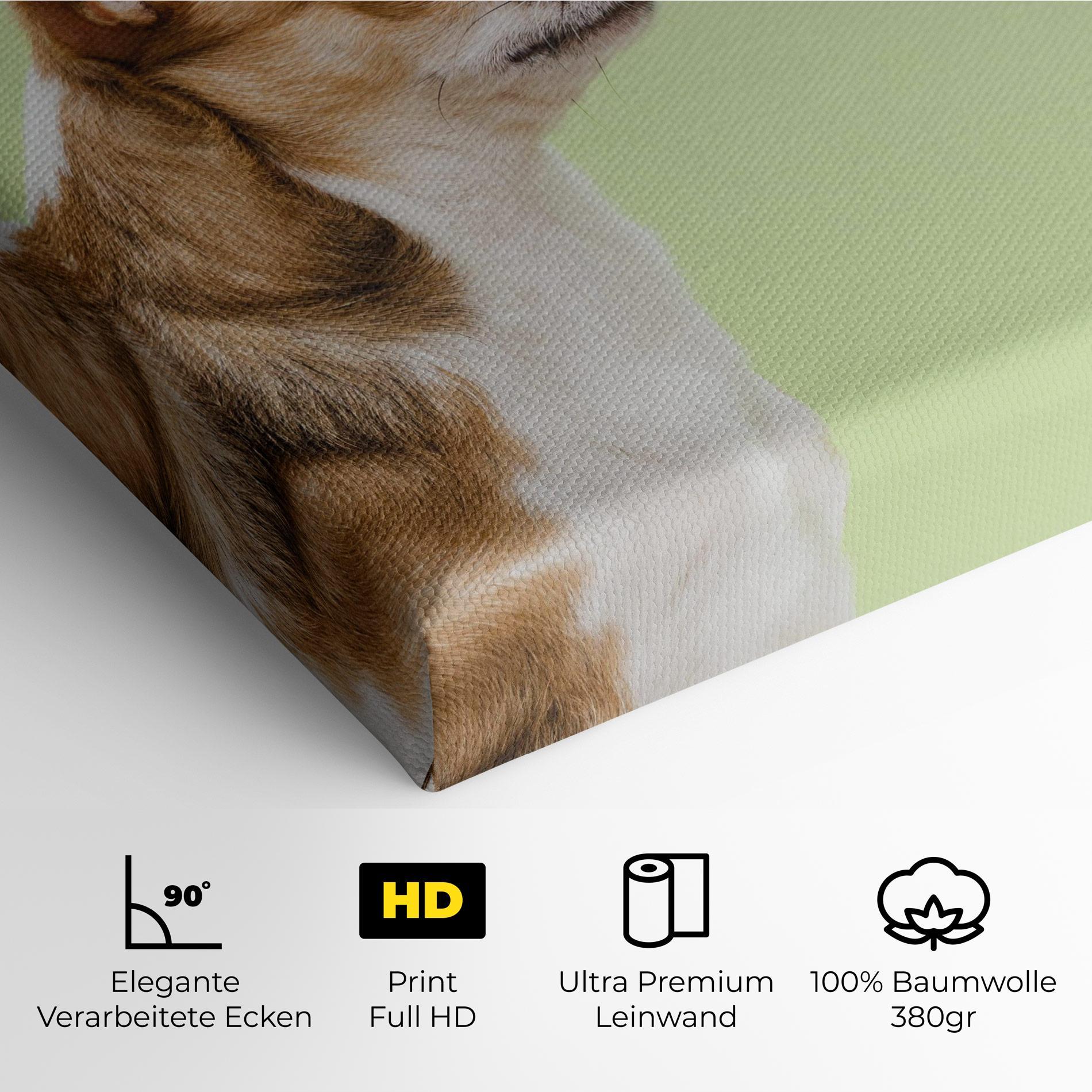 Leinwandbild Chihuahua Dog mockup 4