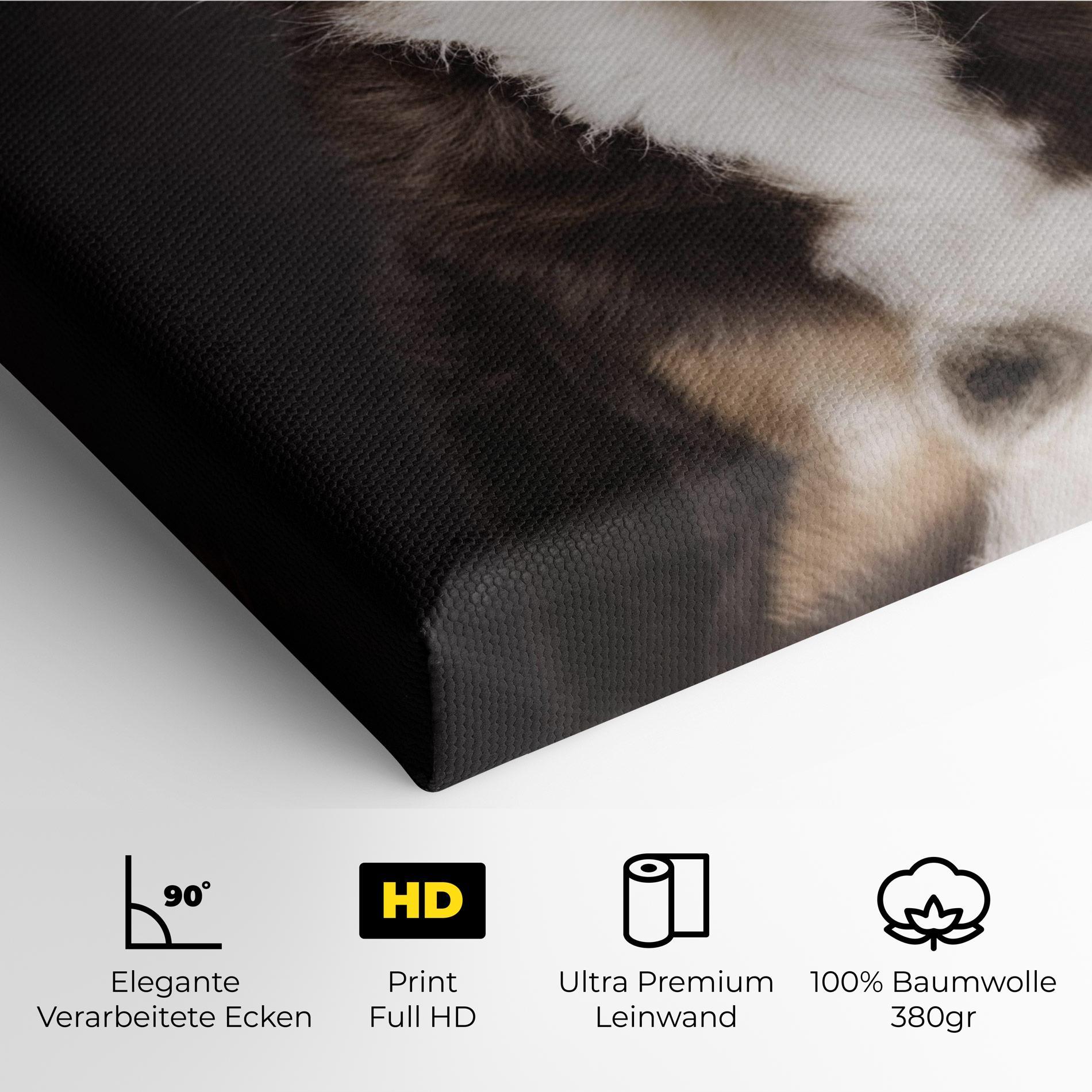 Leinwandbild Cute Dog Sitting mockup 4